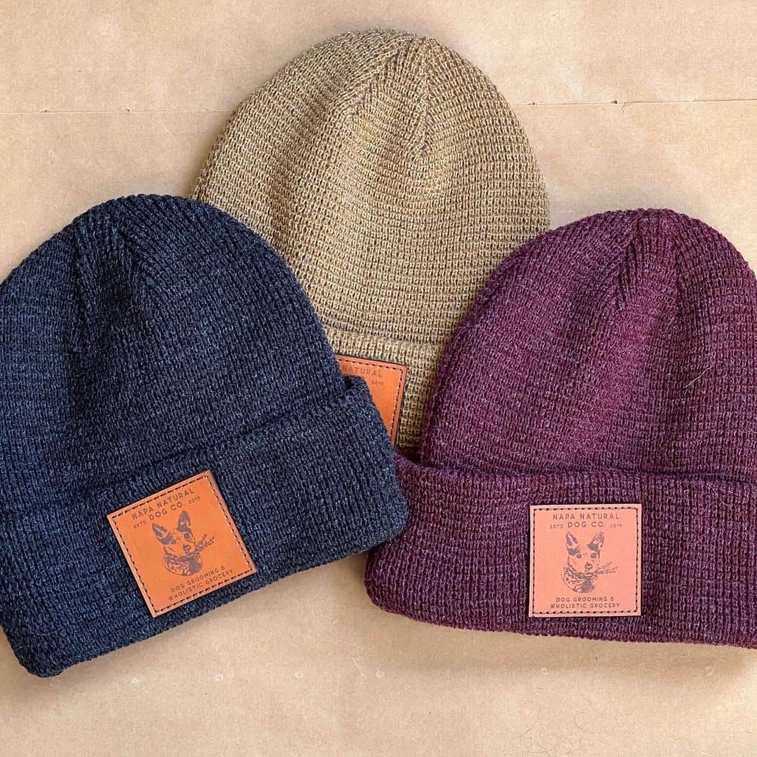 Dogs by Ginaのインスタグラム：「Beanie Days are upon us and it’s time to rep your favorite dog shop.  Come in or shop online via the link in our profile!」