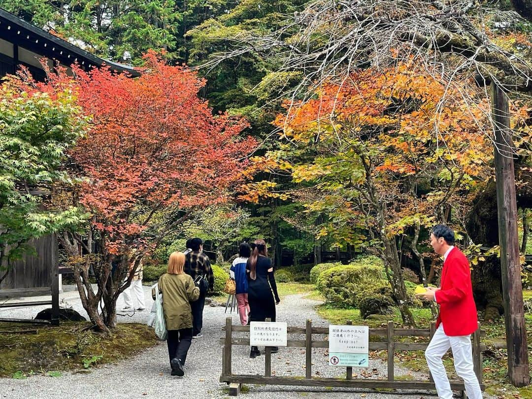 山根良顕のインスタグラム：「秋来てますよ🍁」