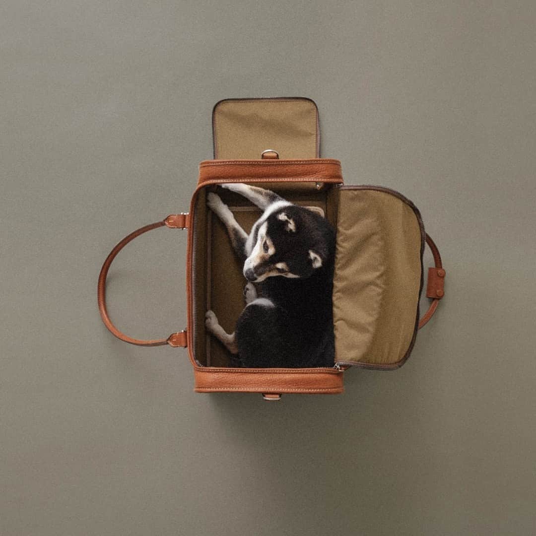 Fashionsnap.comさんのインスタグラム写真 - (Fashionsnap.comInstagram)「【ニュース】土屋鞄製造所の革製品ブランド「ツチヤカバン（TSUCHIYA KABAN）」が、ブランド初となるペット用アイテムを12月14日に発売。犬用のランドセルとしても飼い主がポシェットとしても使用できるペットランドセル（4万9500円）や、犬用キャリーバッグ（25万3000円）など5種類をラインナップする。⁠ ⁠ 発売に先駆けて、TSUCHIYA KABAN 渋谷店では11月1日から12日まで先行予約販売を実施。六本木店では11月16日から30日まで製品の先行展示を行う。⁠ ⁠ #tsuchiyakaban #土屋鞄 #土屋鞄製造所 #ペット #犬 #ニュース_fs @tsuchiya_kaban」10月25日 14時15分 - fashionsnapcom