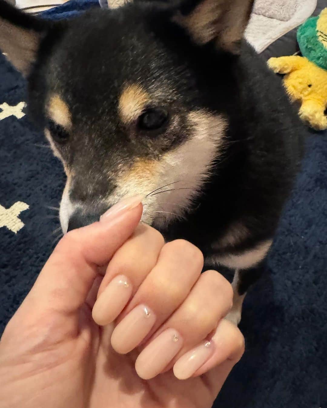 のインスタグラム：「ネイルチェンジ！ 仕事の都合でシンプルなのしかできないけど たまにはこういうのも良いかも😍  ラインストーンつけて ささやかな抵抗😆  #シンプルネイル #ネイル」