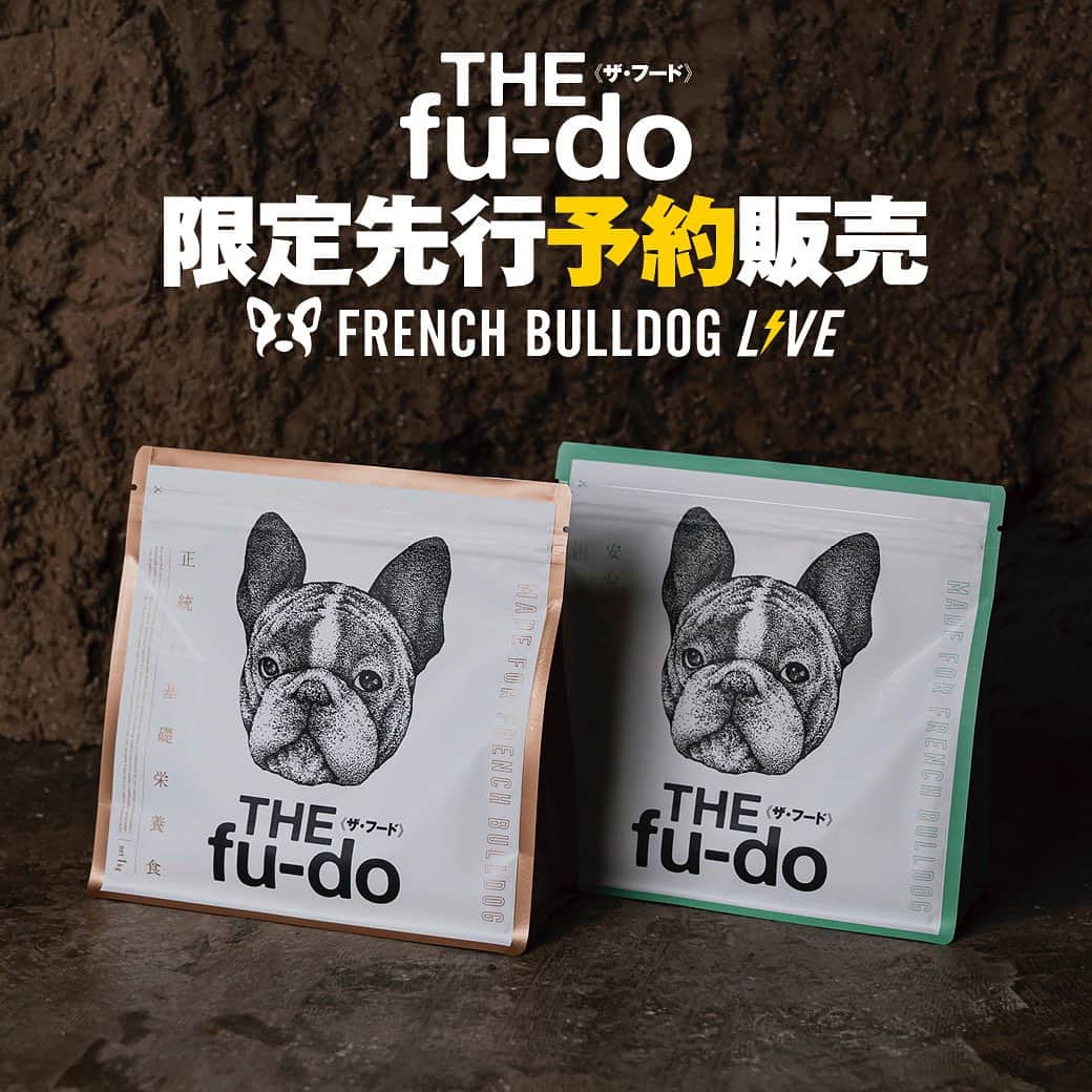French Bulldog Lifeのインスタグラム：「【限定先行予約！】「THE fu-do(ザ・フード)」を誰よりも先にゲットする方法！  「フレブルLIVE」では、フレブル専用ごはん「THE fu-do(ザ・フード) ブース」も設置しています！  そしていよいよ「THE fu-do(ザ・フード)」の先行予約をスタート！  先着順および数に限りがありますが、誰よりも先に「THE fu-do(ザ・フード)」をご予約いただけます！   そして、公式LINEとお友だちになってくれた方には、「フレブルライフ」のブースで使える1,000円OFFクーポンをプレゼント！  お得情報満載なので、要チェックですよ⚡️  ★詳しくは「フレブルライフをチェック」 プロフィールまたはストーリーズからどうぞ @french.bulldog.life  #フレブルLIVE #ザフード」