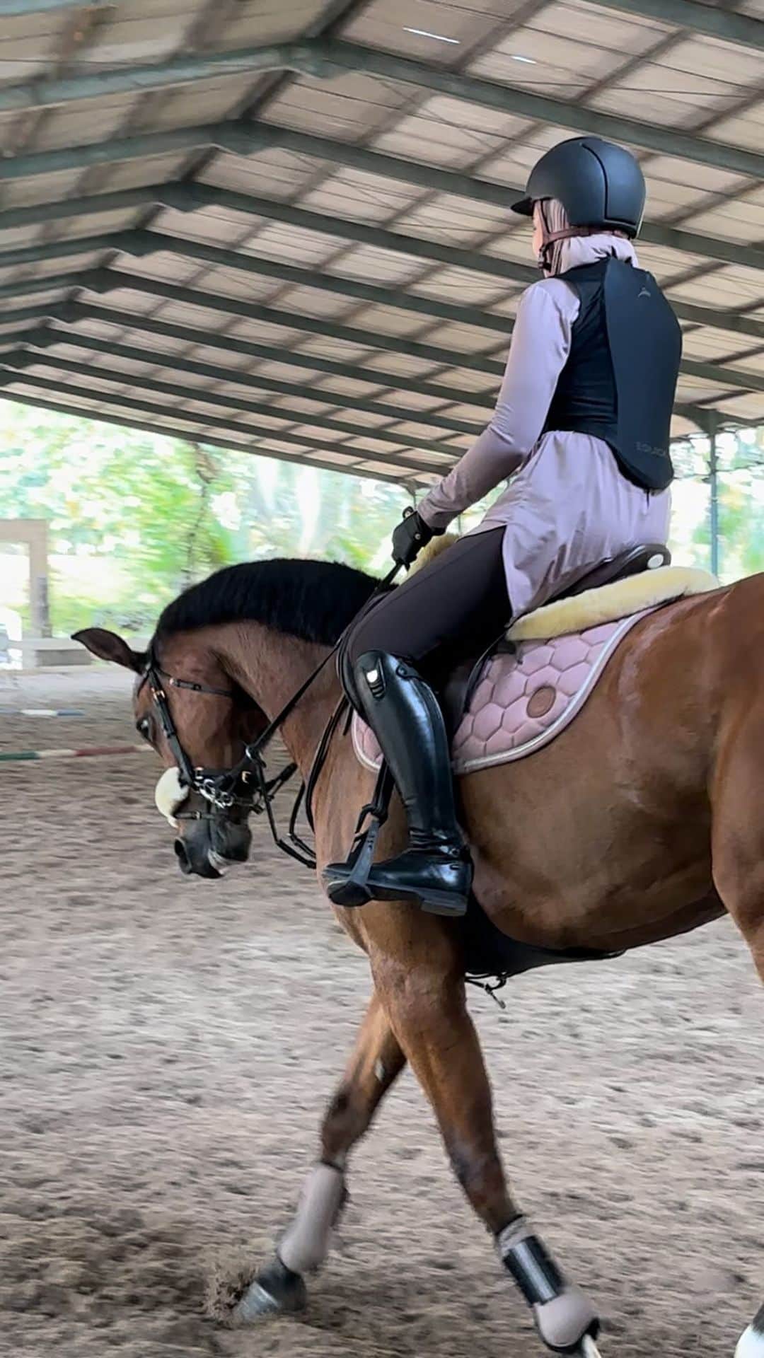Zaskia Sungkarのインスタグラム：「A long journey ahead ….. 🐴❤️mangat cressent  #Cressent #masyaAllahTabarakallah」