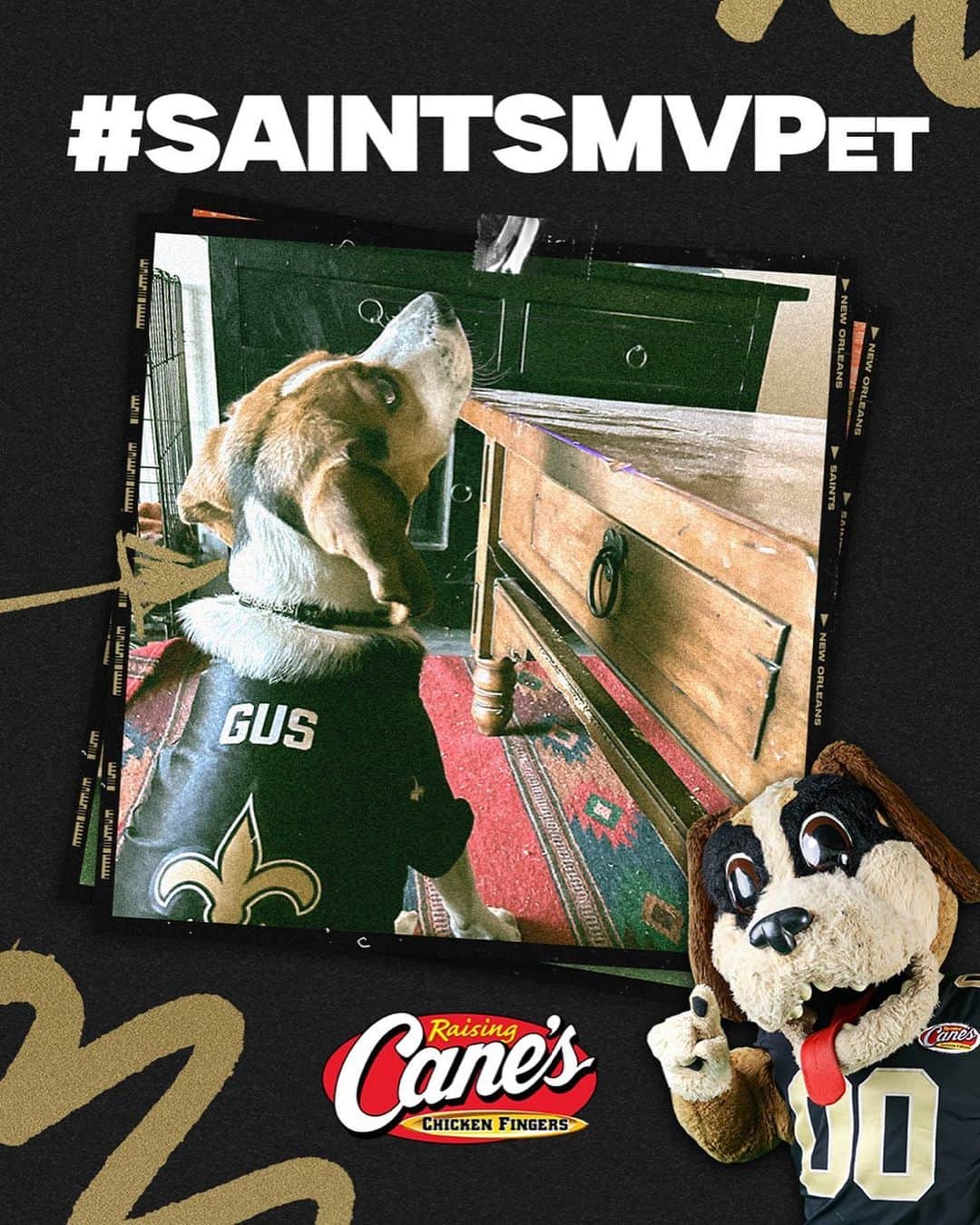 ニューオーリンズ・セインツのインスタグラム：「September’s #SaintsMVPet goes to our boy Gus! ⚜️」