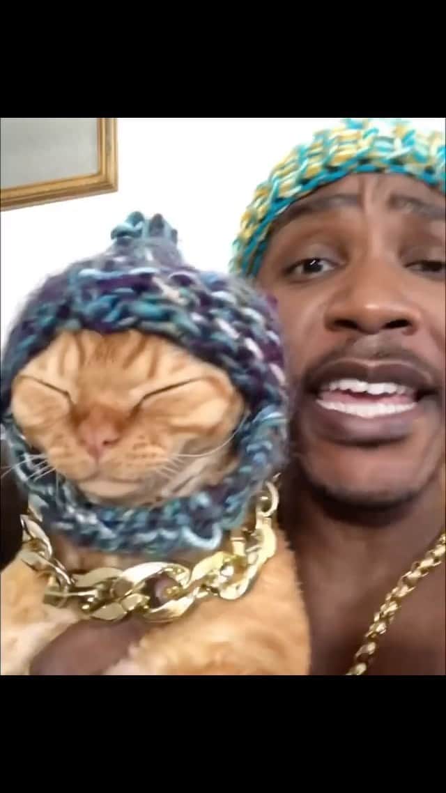 MSHO™(The Cat Rapper) のインスタグラム：「See you all very soon. Miss and love you all. Give it up one time for DJ. To all our cat people we truly love you ❤️ #TheCatRapper #CatMan #CatDad #CatMom #DJRavioli #MoGang」