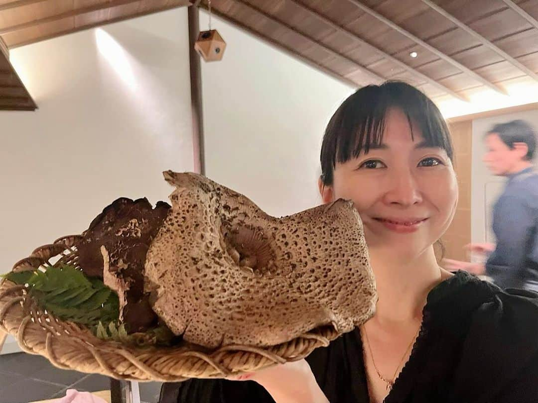 真藤舞衣子さんのインスタグラム写真 - (真藤舞衣子Instagram)「香茸、前の写真じゃ大きさがわからないので、比べてみました笑 なんとこーんな立派な香茸だったんです。天ぷらでいただきました、歯触りもよく良い香り〜。  #出羽屋 #香茸 #マイマイ山形　 #マイマイ食いしん坊ツアー」10月25日 8時12分 - maikodeluxe