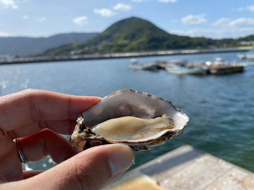 西村真二さんのインスタグラム写真 - (西村真二Instagram)「🦪 やっぱ広島の牡蠣が一番じゃけぇ」10月25日 8時22分 - shinji_nishimura0630