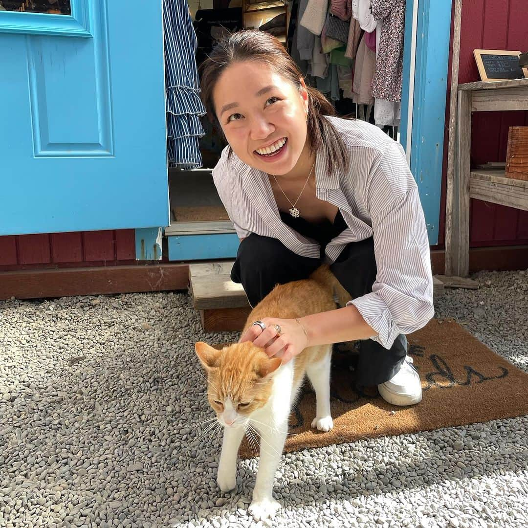 リリー・チャンのインスタグラム：「Yes we did make the pumpkin hat our entire personality 🧡」