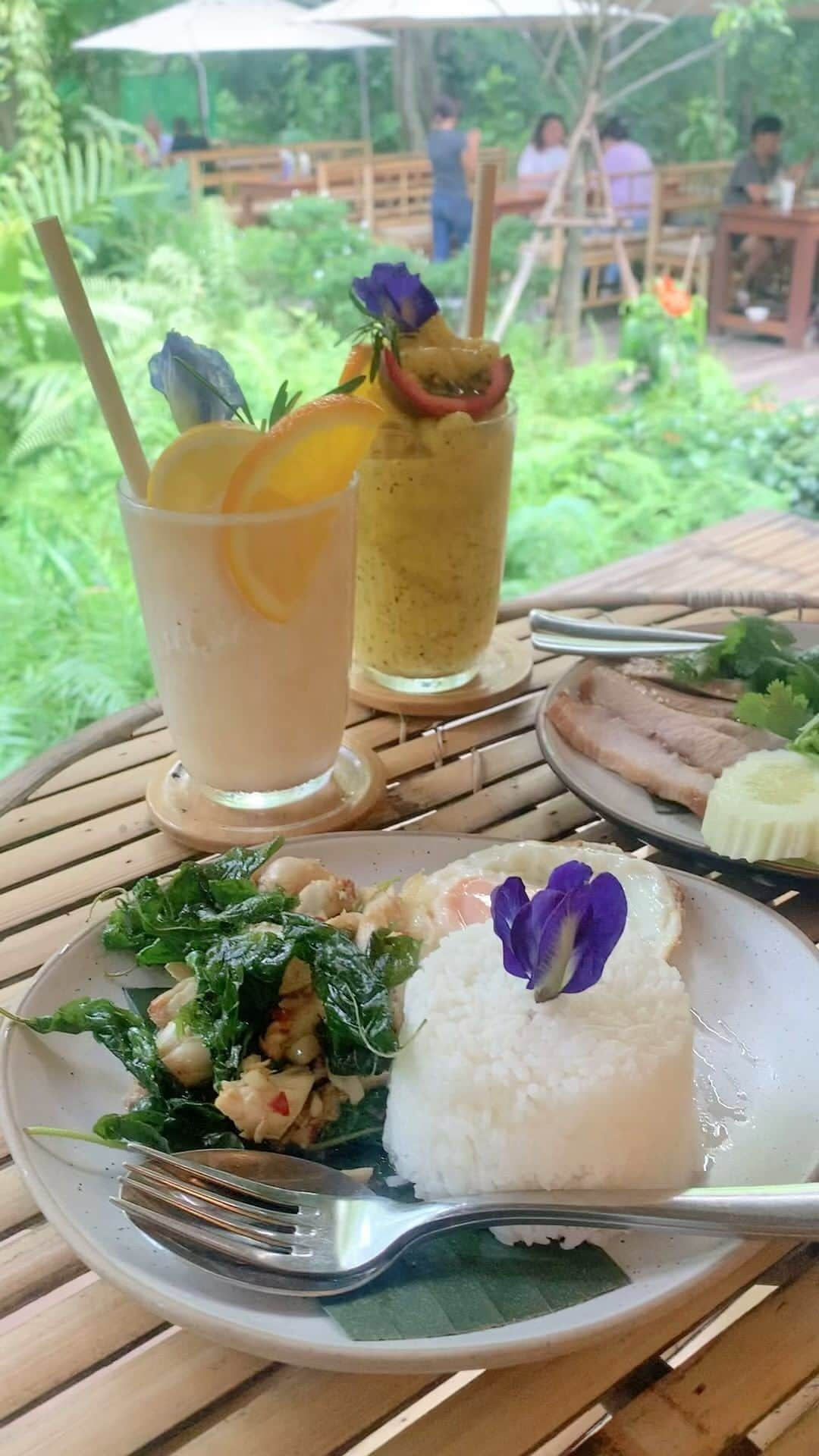 高辻千夏のインスタグラム：「⁡ Natura Garden Cafe☕️🌿‬🇹🇭 ⁡ ⁡ 緑に囲まれたカフェ♡ ⁡ ⁡ ⁡ ご飯もジュースも美味しかった🍹💕 ⁡ ⁡ ⁡ ⁡⁡#タイ #タイ旅行 #バンコク #バンコク旅行 #海外旅行 #女子旅 #タビジョ #旅行好き女子 #ガーデンカフェ　#タイカフェ　#バンコクカフェ　#cafe #gardencafe #naturagardencafe #thailand #thailandtravel #bangkok #bangkokthailand #การเดินทาง #ไทยเที่ยวไทย #วันหยุด #촣반 #여행스타그램 #태국 #카페」