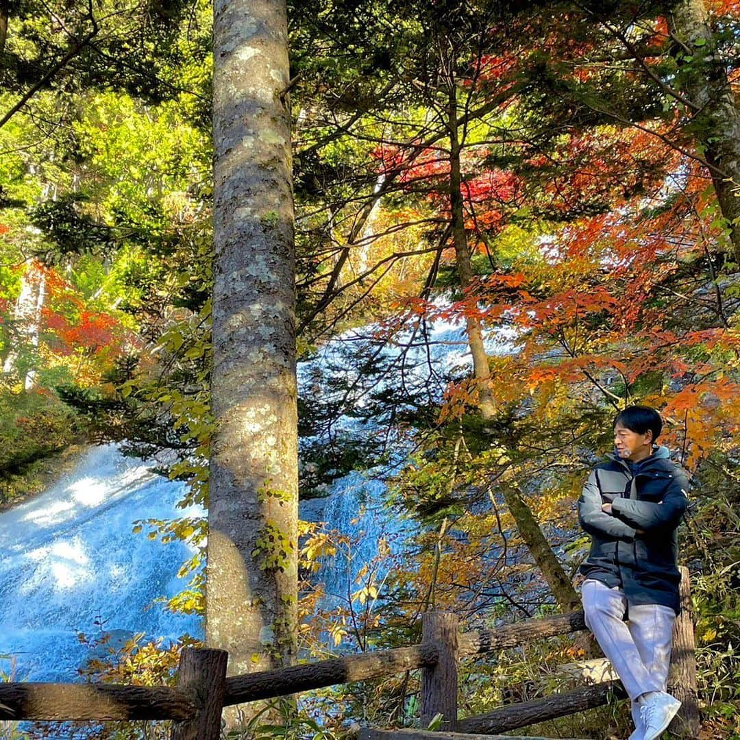 依田司さんのインスタグラム写真 - (依田司Instagram)「10月25日（水） 先週月曜日は栃木県日光市の湯ノ湖から紅葉をお伝えしましたが、けさは、その湯ノ湖の最南端にある滝『湯滝』からの中継。 滝を囲むのは、カエデやミズナラ、白樺などの木々。滝つぼの観爆台から右の遊歩道を登っていくと滝を上から眺めることができ、戦場ヶ原まで見渡せます。 ここは、何と言っても滝の迫力がすごい。 高さ７０メートル、長さ１１０メートルもあるんです。 「湯ノ湖」から流れてきたこの水は、「奥日光三大名爆」のここ「湯滝」から「竜頭の滝」を通り「中禅寺湖」へ流れ込み、最後は「華厳の滝」へと流れ着きます。 今朝は0℃台の冷え込みでした。紅葉狩りは防寒着必須です。  #湯滝 #AIGLE #エーグル #依田さん #依田司 #お天気検定 #テレビ朝日 #グッドモーニング #気象予報士 #お天気キャスター #森林インストラクター #グリーンセイバーアドバンス #プロジェクトワイルド #IPCC伝導者 #japan #japantrip #japantravel #unknownjapan #japanAdventure #japanlife #lifeinjapan #instagramjapan #instajapan #療癒 #ilovejapan #weather #weathercaster #weatherforecast」10月25日 8時59分 - tsukasa_yoda