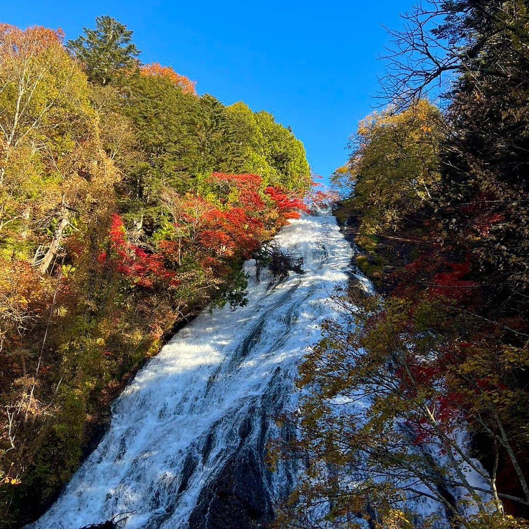 依田司さんのインスタグラム写真 - (依田司Instagram)「10月25日（水） 先週月曜日は栃木県日光市の湯ノ湖から紅葉をお伝えしましたが、けさは、その湯ノ湖の最南端にある滝『湯滝』からの中継。 滝を囲むのは、カエデやミズナラ、白樺などの木々。滝つぼの観爆台から右の遊歩道を登っていくと滝を上から眺めることができ、戦場ヶ原まで見渡せます。 ここは、何と言っても滝の迫力がすごい。 高さ７０メートル、長さ１１０メートルもあるんです。 「湯ノ湖」から流れてきたこの水は、「奥日光三大名爆」のここ「湯滝」から「竜頭の滝」を通り「中禅寺湖」へ流れ込み、最後は「華厳の滝」へと流れ着きます。 今朝は0℃台の冷え込みでした。紅葉狩りは防寒着必須です。  #湯滝 #AIGLE #エーグル #依田さん #依田司 #お天気検定 #テレビ朝日 #グッドモーニング #気象予報士 #お天気キャスター #森林インストラクター #グリーンセイバーアドバンス #プロジェクトワイルド #IPCC伝導者 #japan #japantrip #japantravel #unknownjapan #japanAdventure #japanlife #lifeinjapan #instagramjapan #instajapan #療癒 #ilovejapan #weather #weathercaster #weatherforecast」10月25日 8時59分 - tsukasa_yoda