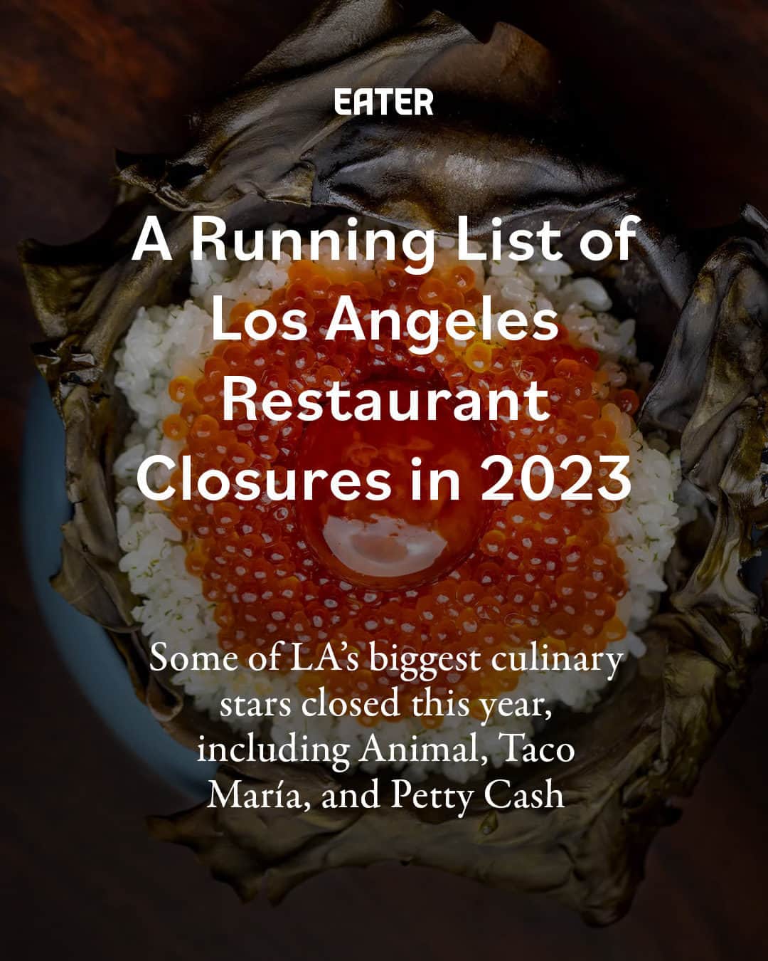 Eater LAのインスタグラム：「It’s been a tough, complicated year for LA’s food scene, marked by tons of new openings and big-deal closures. In the past year, Los Angeles has said goodbye to some of its most well-known dining establishments including the genre-defining Animal and the 32-year-old Shabu-Shabu House, the first restaurant to bring Japanese hot pot to the U.S.   Tap the link in bio for a running list of the city's biggest restaurant closures in 2023 so far.  📸: Jakob Layman (@meetjakob)」