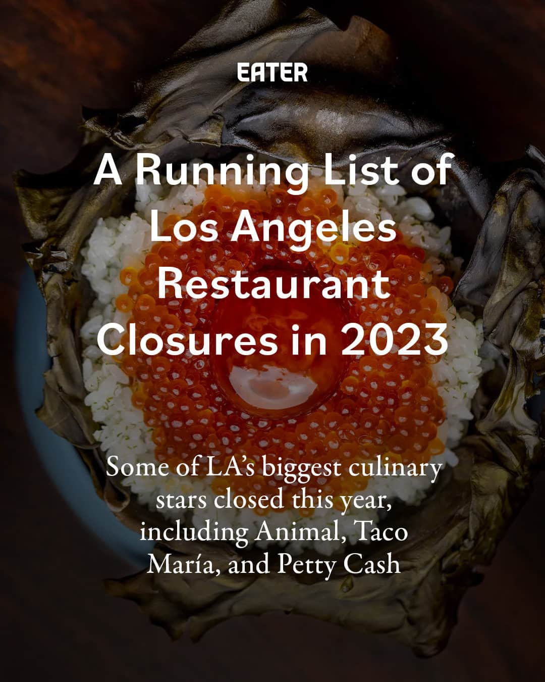 Eater LAのインスタグラム：「It’s been a tough, complicated year for LA’s food scene, marked by tons of new openings and big-deal closures. In the past year, Los Angeles has said goodbye to some of its most well-known dining establishments including the genre-defining Animal and the 32-year-old Shabu-Shabu House, the first restaurant to bring Japanese hot pot to the U.S.   Tap the link in bio for a running list of the city's biggest restaurant closures in 2023 so far.  📸: Jakob Layman (@meetjakob)」