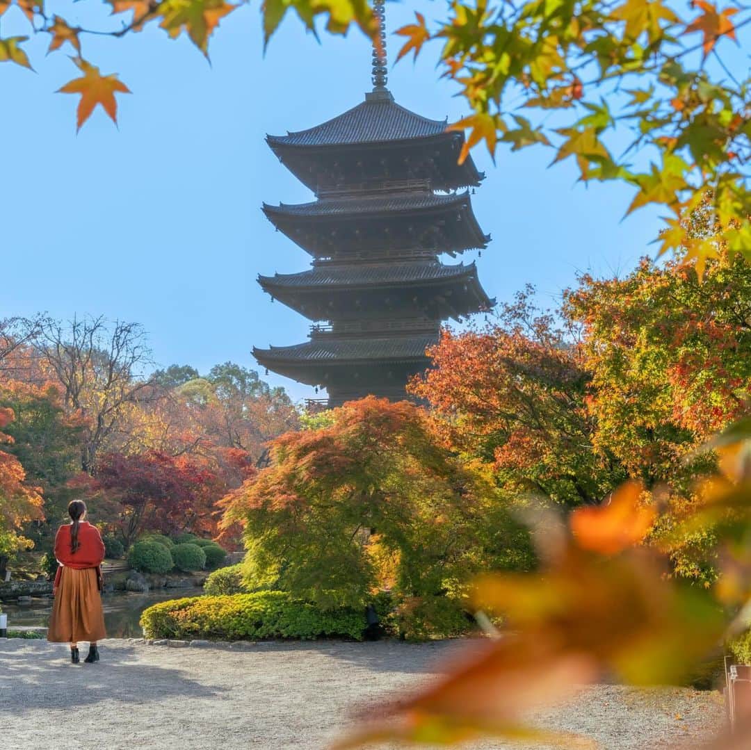 星野リゾートさんのインスタグラム写真 - (星野リゾートInstagram)「🗣どんなシチュエーションで紅葉を楽しみたいですか？  木々や色鮮やかに染まる美しい季節が到来です！ 秋色の景色の中で愉しむ旅はいかがでしょうか？  🍁温泉で楽しむ #界阿蘇  🍁お庭で楽しむ #星のや京都  🍁渓流と楽しむ #奥入瀬渓流ホテル  🍁お寺で楽しむ #OMO3京都東寺  #星野リゾート #hoshinoreosrts #紅葉 #紅葉狩り #秋旅行 #温泉旅行」10月25日 19時00分 - hoshinoresorts.official