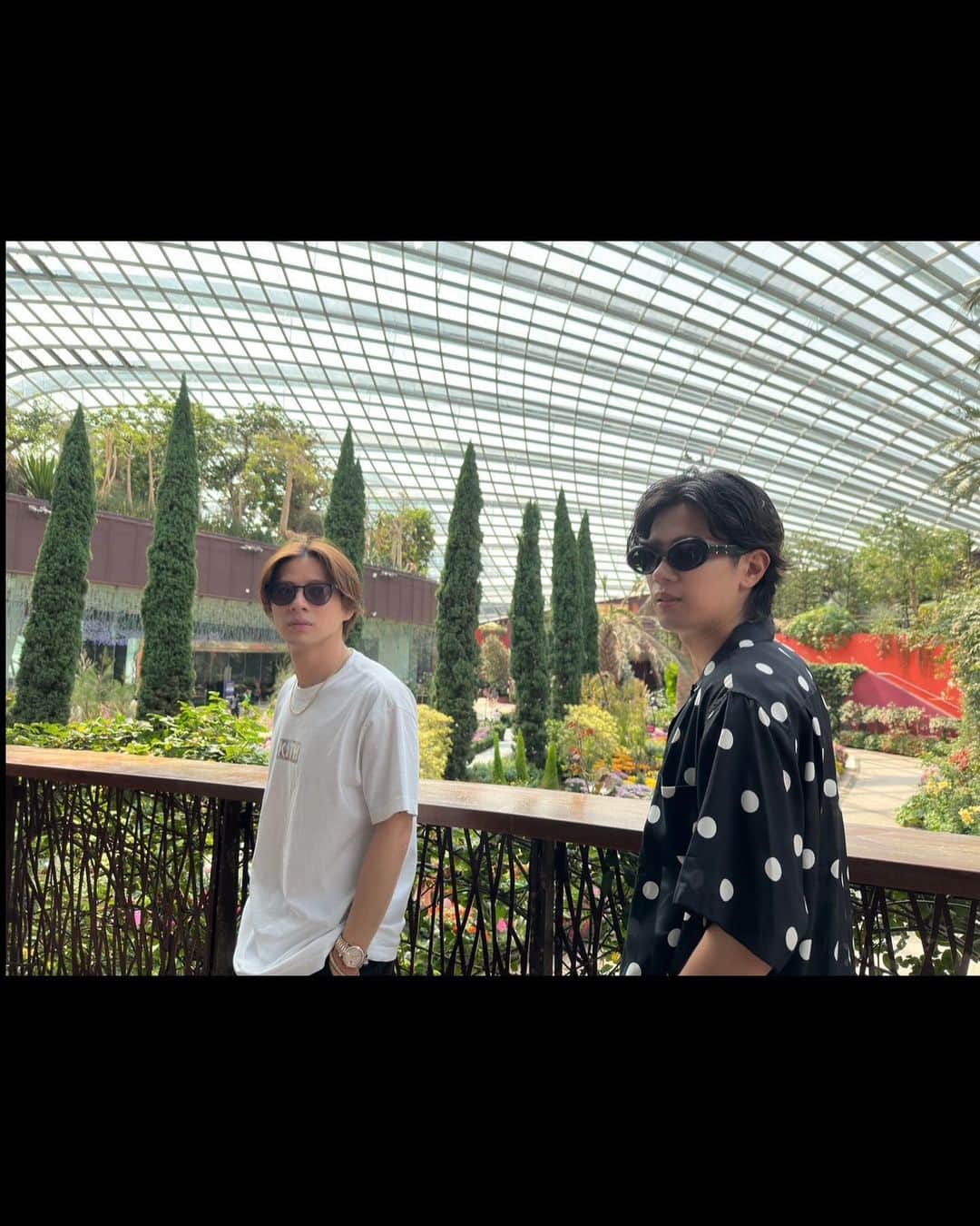 平野紫耀さんのインスタグラム写真 - (平野紫耀Instagram)「シンガポール🌱 植物園行った🌴」10月25日 15時48分 - sho_h_desyo