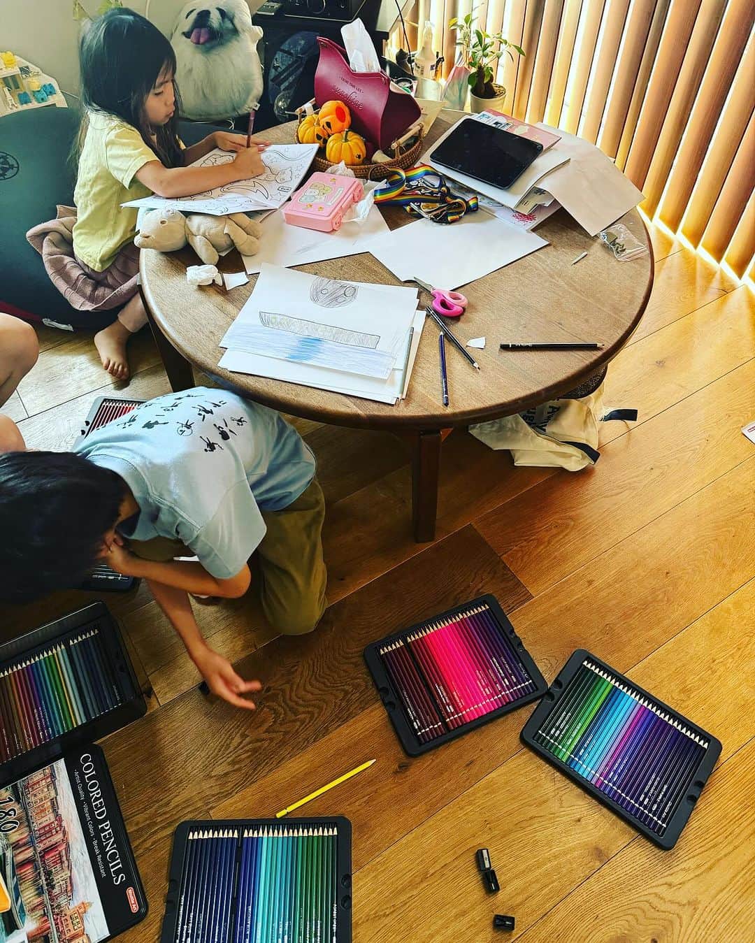 のインスタグラム：「貰った色鉛筆が嬉しくて朝からお絵描きタイムがはじまったので、今日は壮大な遅刻します。」