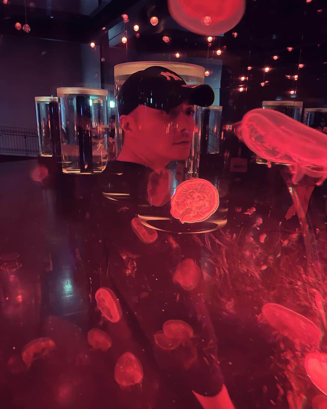 平宮博重のインスタグラム：「#aquarium」