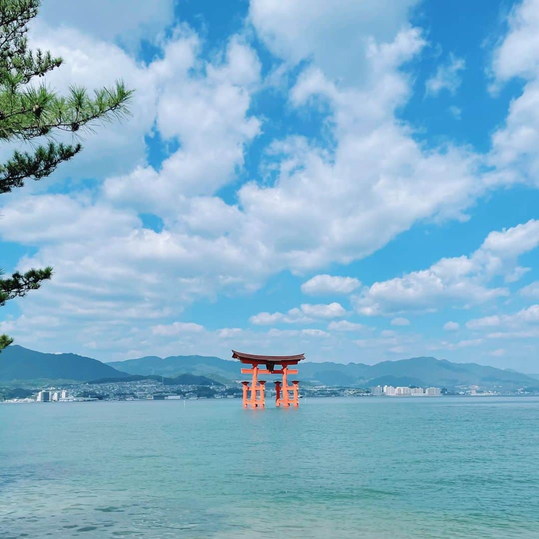 樋口柚子のインスタグラム：「初、厳島神社行ったとき〜⛩️」