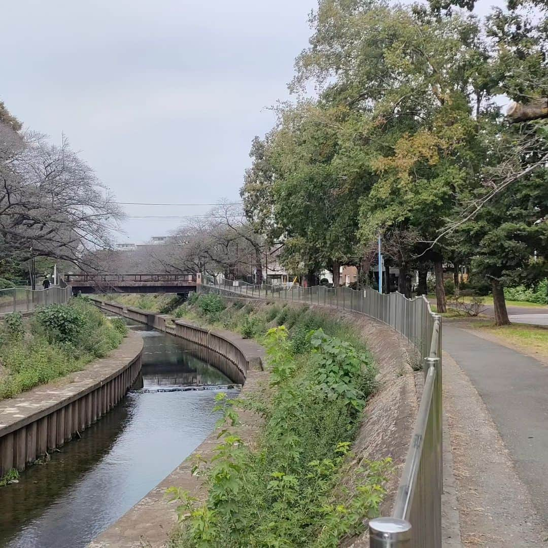 有馬徹さんのインスタグラム写真 - (有馬徹Instagram)「おはようございます。 朝散歩。くもり☁涼しくて気持ちがいい。  #朝散歩 #朝のルーティン」10月25日 10時49分 - inuarima