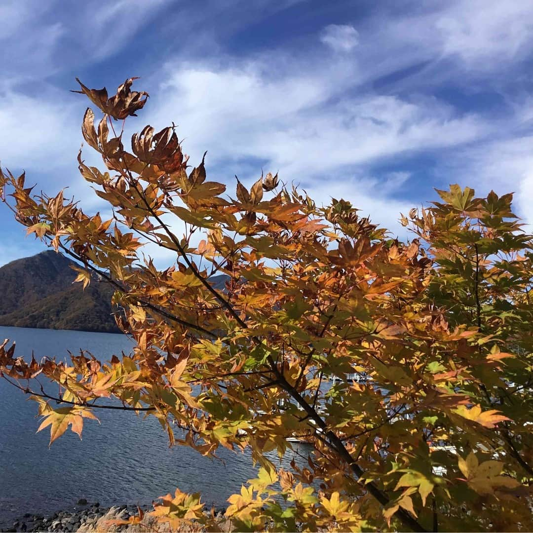 ぽすくま【日本郵便】のInstagram公式アカウントのインスタグラム：「＼紅葉情報 最新レポートをお届け！／  ぽすナビを通じた中禅寺郵便局からの紅葉情報をお届け😉 今週～来週は中禅寺湖が紅葉の見ごろだよ🍁  中禅寺郵便局から写真が届いたからみんなに見せちゃうよ🐻📷 とっても綺麗だね～✨  週末はぜひ中禅寺湖にお出かけして、紅葉を見てみてね💞 詳しくは「ぽすナビ　紅葉」で検索🔍  #紅葉 #紅葉情報 #2023 #お天気ナビゲータ #ぽすナビ #気象情報 #季節情報 #紅葉の見ごろ #日本郵政 #日本郵便 #郵便 #郵便局 #栃木 #日光 #鬼怒川 #中禅寺 #中禅寺湖 #地域情報 #地方創生」