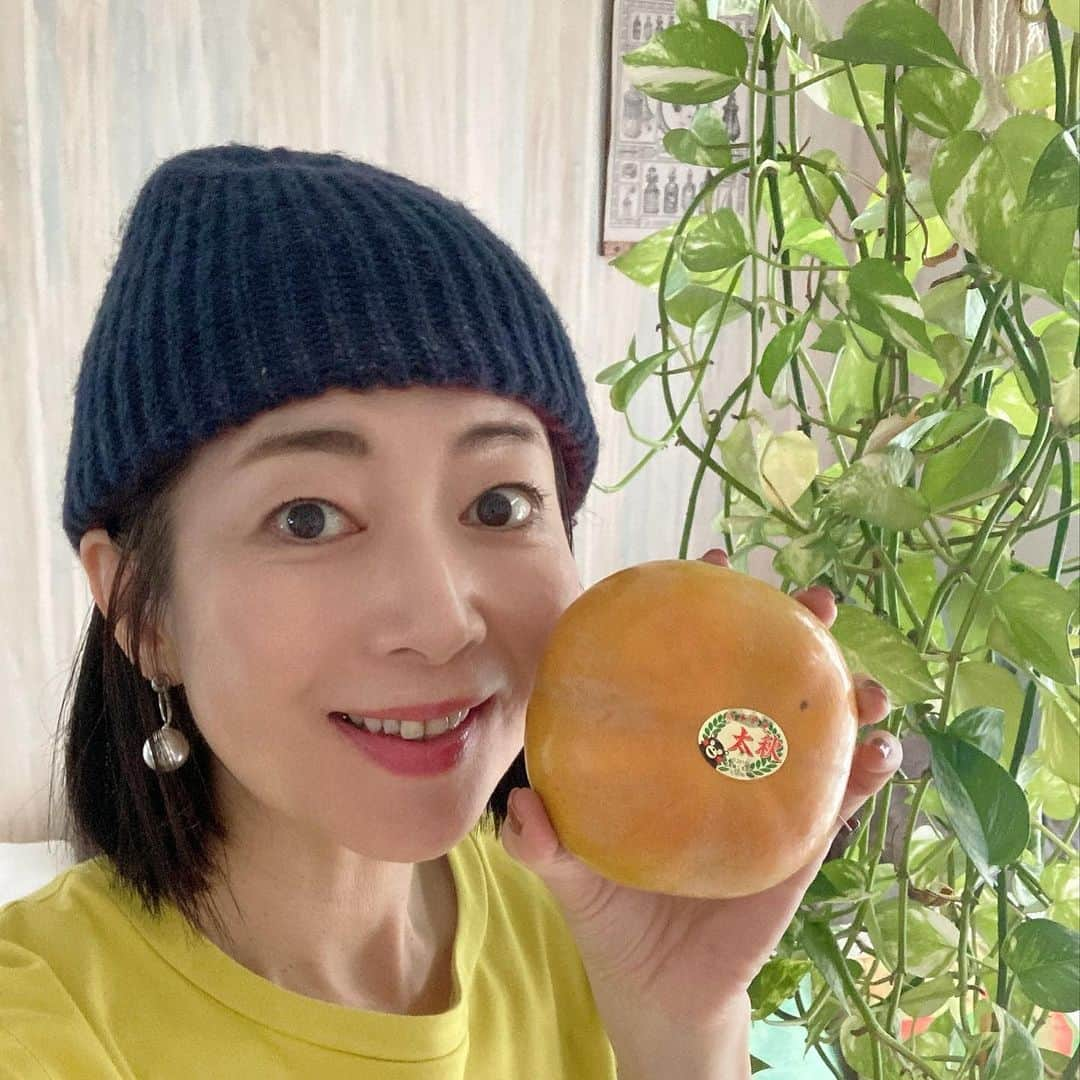 江藤あやのインスタグラム：「今年も熊本のいとこから 立派な太秋柿が届きました！  めっちゃ大きくて、めっちゃ甘いの〜。 愛のつまった感動の味です。  いつもありがとう💗  #太秋柿 #たいしゅう #熊本 #益城町 #くまもん」