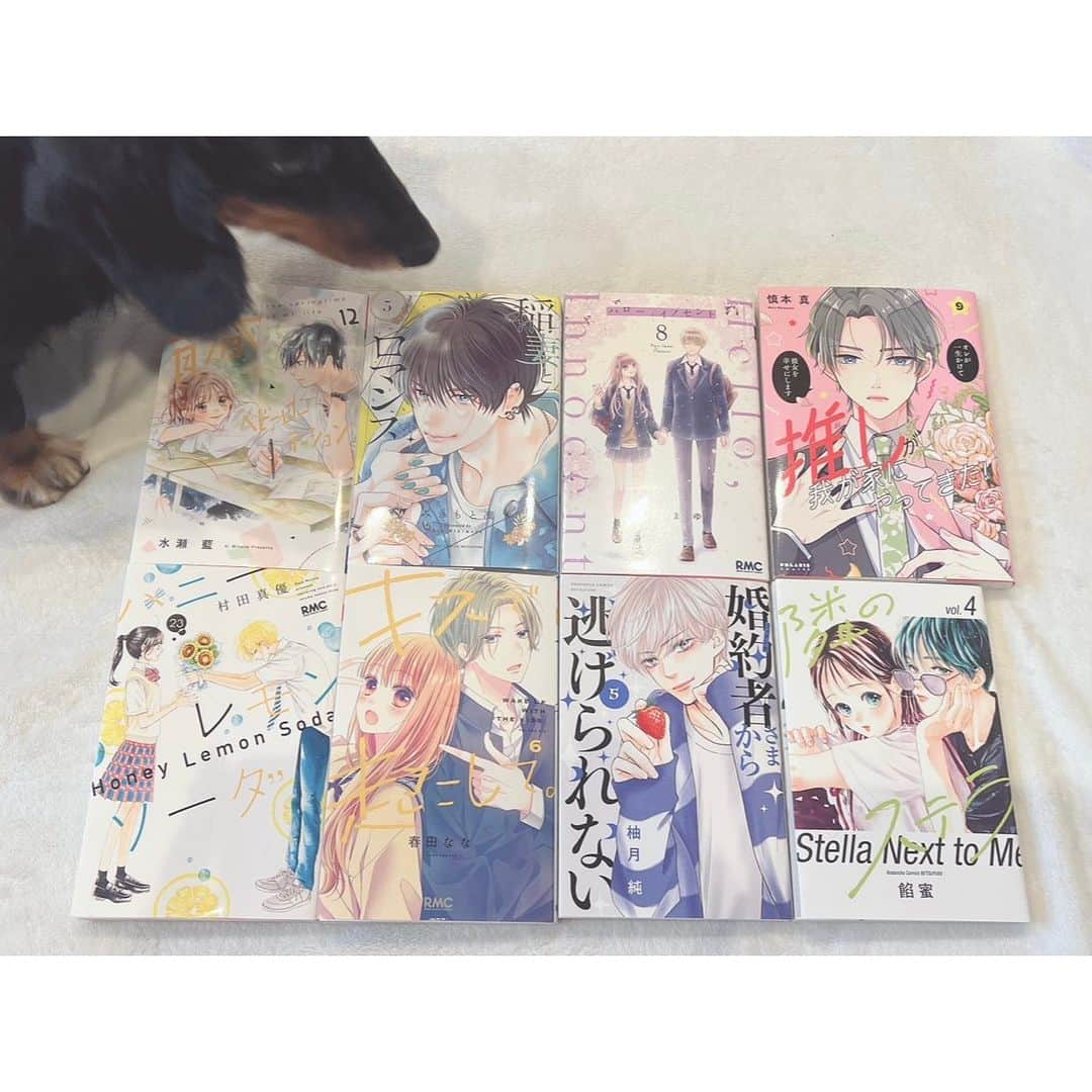 春名真依さんのインスタグラム写真 - (春名真依Instagram)「＊ 写真を撮りたい私とどうしても写り込みたいわんちゃん🐶  読んでいると頭で漫画をどかして 私と漫画の間に割り込んできます。 かわいいです🐶  #少女漫画 #まいまんが #青春ヘビーローテーション  #稲妻とロマンス #ハローイノセント #推しが我が家にやってきた！ #ハニーレモンソーダ #キスで起こして。 #婚約者さまから逃げられない #隣のステラ さっきゅんのJUMONもしっかりげっと！ 感想はストーリーとハイライトに〜☺️🤍」10月25日 11時59分 - harunamai_official