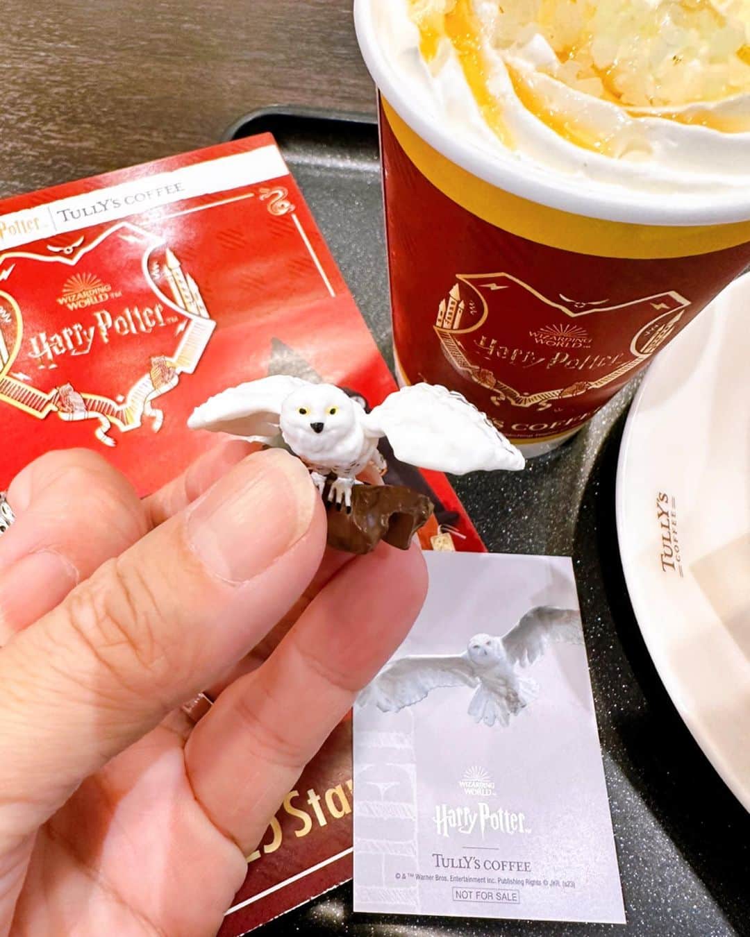 木山裕策さんのインスタグラム写真 - (木山裕策Instagram)「おはようございます☀  今日は新大阪からこうのとり号にて兵庫県柏原（かいばら）市へ🚉‼️  タリーズで朝食を食べたのですが、今日からハリポタコラボやってたので小さいフィギュアを購入。さあ、今日も頑張りましょうー💪」10月25日 12時06分 - kiyamayusaku