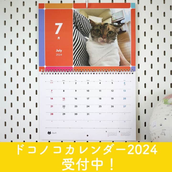 ドコノコさんのインスタグラム写真 - (ドコノコInstagram)「ただいま、ドコノコカレンダー受付中です🐶🎉  毎回、締切直前にあわてる方が ひじょうに多いです。 （もちろん、わたしもそのタイプです‥）  あせらないように、ちょっとずつでも ご準備してくださいね。  すでに届いている方もいらっしゃるようです。 もし「届いたよ！」という方は、 ぜひタグ付けをして、見せてください😻  2024年もまた、 うちのコのカレンダーといっしょに すてきな1年になりますように。  詳しくはドコノコアプリまたは、ドコノコのサイトでどうぞ！  #ドコノコ #dokonoko #dokonokoapp #犬 #いぬ #いぬすたぐらむ #いぬのいる暮らし #猫 #ねこ #ねこすたぐらむ #ねこのいる暮らし #ドコノコカレンダー #オリジナルカレンダー #dog #cat #doggos #fluffy #ほぼ日 #ほぼ日刊イトイ新聞 #hobonichi」10月25日 12時29分 - dokonokoapp