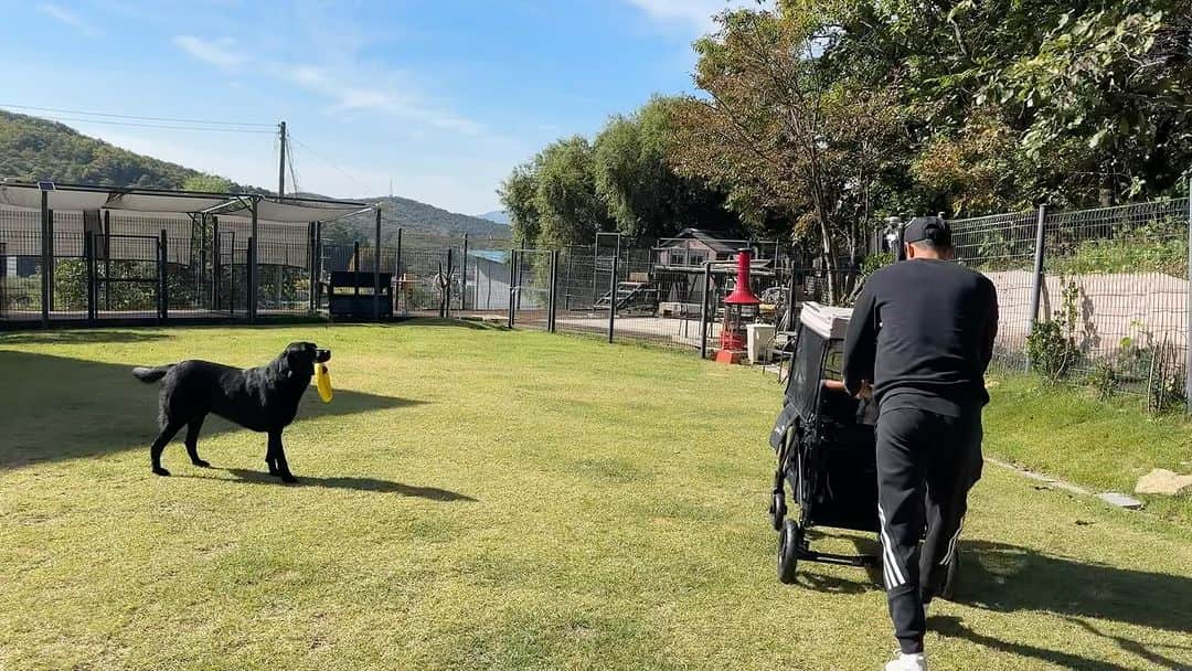 ペ・ジョンナムのインスタグラム：「유모차연습🐶🛻💦 아직 오래걷기는 힘들기때문에 중간중간 유모차타다가 걷다가 타다가걷다가 🩷🩷🩷 내가 운동 많이되긋네 😃💪💪 @holicare.park @holicare.inhee @holicare.bw_peace @kapai_story」
