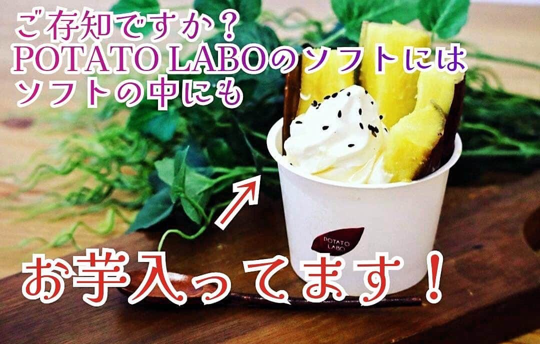 potatolaboのインスタグラム：「🍠 こんにちは！ POTATOLABO阪急西宮ガーデンズ店です🤗 いつもご利用ありがとうございます♪  皆様、 当店のソフトには お芋が入ってるのご存知でしたか？😋  バニラソフトだと思われてる方、 実は…  ちゃんとお芋ペーストが練り込まれた 特製ソフトなんですよ！👏  使ってるお芋は 「紅はるか」です！  【紅はるかソフト】 【紅芋ソフト】 【やきいもソフト】  ソフト商品は ソフトにもお芋入ってるんですよ！✨  ぜひ！優しい甘さの お芋ソフトをご賞味くださいませ🍠  皆様のご来店お待ちしております♪  #ポテトラボ #阪急西宮ガーデンズ#さつまいも#さつまいもスイーツ専門店 #ソフトクリーム#ひやあつ #紅は るか#焼き芋」