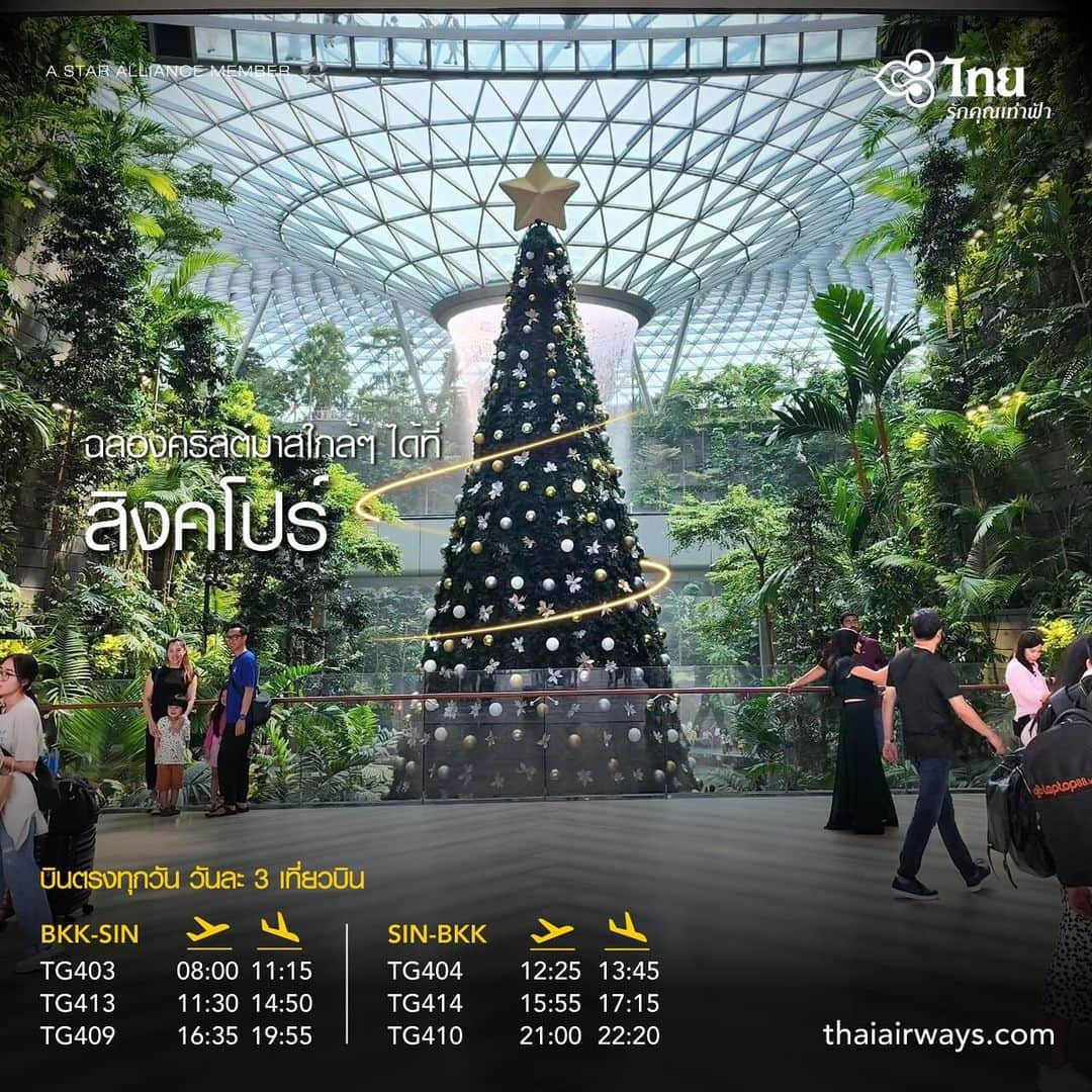 タイ航空のインスタグラム：「🦌Enjoy this holiday season with a special price from Thai Airways in the heart of Singapore , where dazzling lights were beautifully put up, ready for you to celebrate this Christmas with magical moments.🎄  Book now 👉🏻 thaiairways.com or click in our bio!  📅 Booking Period: Now – October 31, 2023 🗺️ Travel Period: Now – March 31, 2024  *Terms and conditions apply.  #ThaiAirways #Singapore #Christmas #OctoberFares #Promotion #SmoothAsSilk #iFlyTHAI #MagicalJourney #Travel」