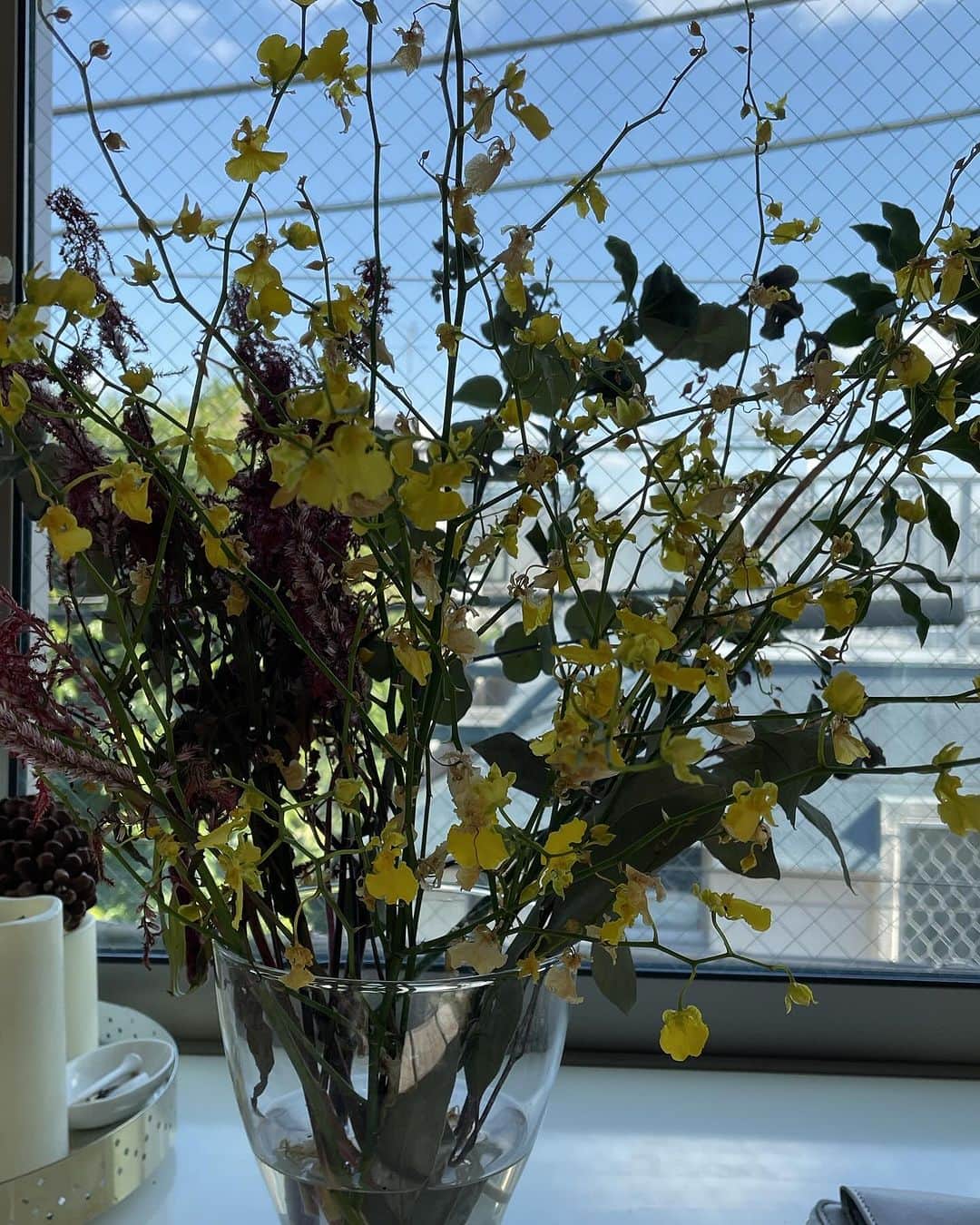 橋本志穂さんのインスタグラム写真 - (橋本志穂Instagram)「驚愕🫨造花に水❓❓ 北海道に旅立つ前に 気がかりだったのは　 お花たちのこと、、、 長く留守にするから帰ったらかれちゃってるんだろうなって諦めてたの🥲 だけど帰宅したら お花たちが元気に咲いてる❣️ 「え？もしかしてお水 変えてくれてた❓」と聞くと 「まぁテキトーにやっといた」って。  こんなの初めてーー🥰  嬉しい、ありがとうーと安心して その日はもうバタンキューですよ。  翌朝、 ちゃんと水切りしてあげようと、 一つ一つ花瓶を運んで手入れして、、、 あれ❓なんだこれー  造花とドライフラワーにも 水がたっぷり入ってた 🤣🤣🤣🤣🤣🤣🤣🤣  朝から声出して笑ってしまいました。」10月25日 13時56分 - shihohashimoto3