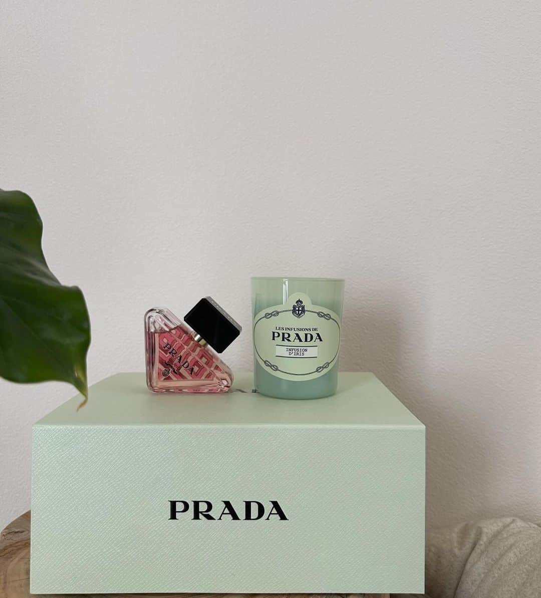 mizukiのインスタグラム：「@pradabeauty 🩷 ㅤㅤㅤㅤㅤㅤㅤㅤㅤㅤㅤㅤㅤ フレグランスもキャンドルも いい香りで癒される...🕯️ 11/22から表参道にオープンしたプラダビューティートウキョウも素敵な空間だった☺️ ㅤㅤㅤㅤㅤㅤㅤㅤㅤㅤㅤㅤㅤ #pradaparadoxe #pr #pradabeauty #プラダパラドックス #prada」
