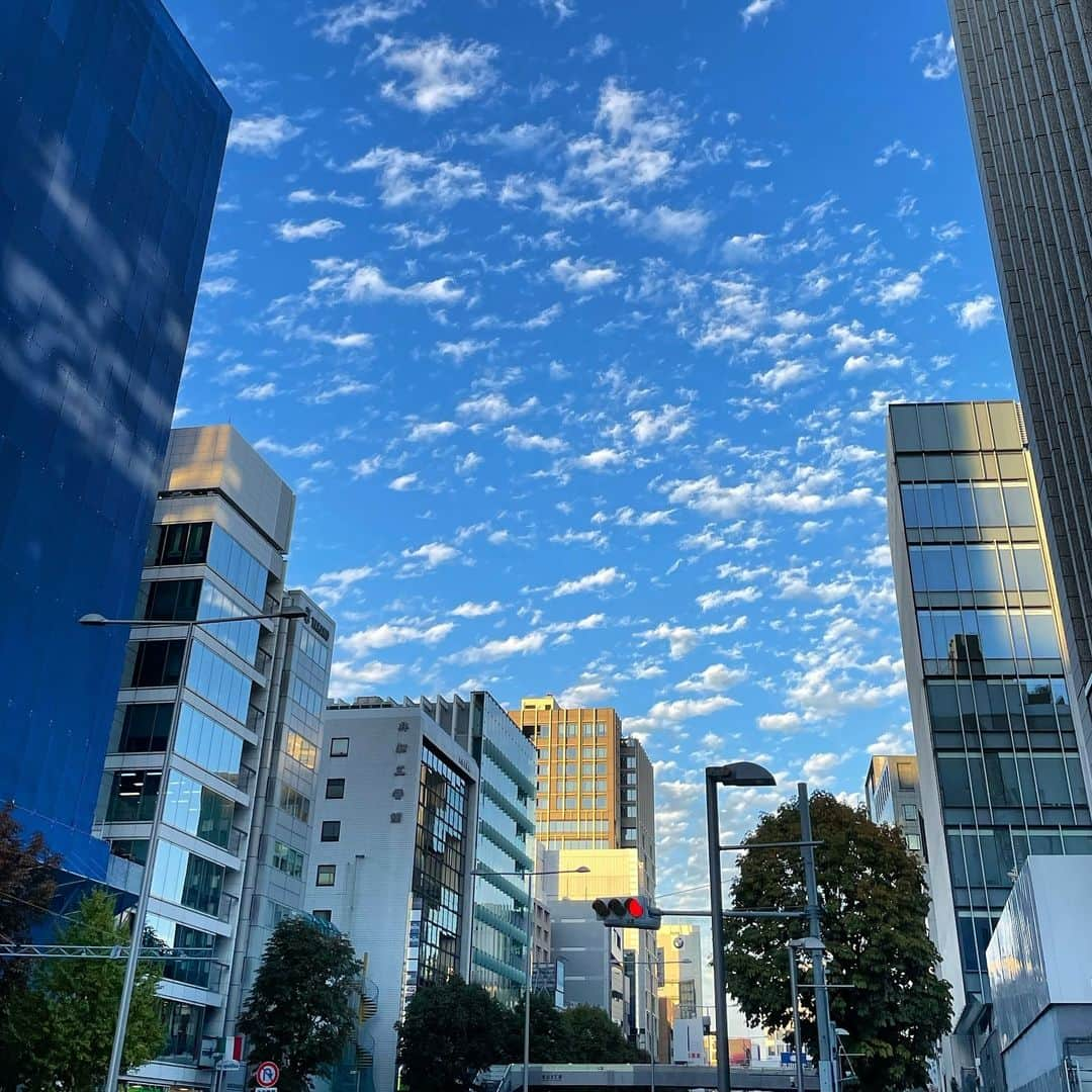 濱田マサルのインスタグラム：「あと、1週間で11月も終わる木曜日  祝日・勤労感謝の日  驚く程に暖かい11月。。。  コロナも終わり、スッキリ！と言う期待を超えない2023年もあと一月で終了。。  誰もが、何かに『もやもや、、もやもや。。』  そんな一年だった様に思います。  来年。2024年からの新しい流れをイメージして。  新しいことへの挑戦！や、普段できない事の洗い出し！を計画的に行うべく、様々考え行動に移せる様スケジュールを立てていく。  年末の喧騒感から、離れ心静かに。。」