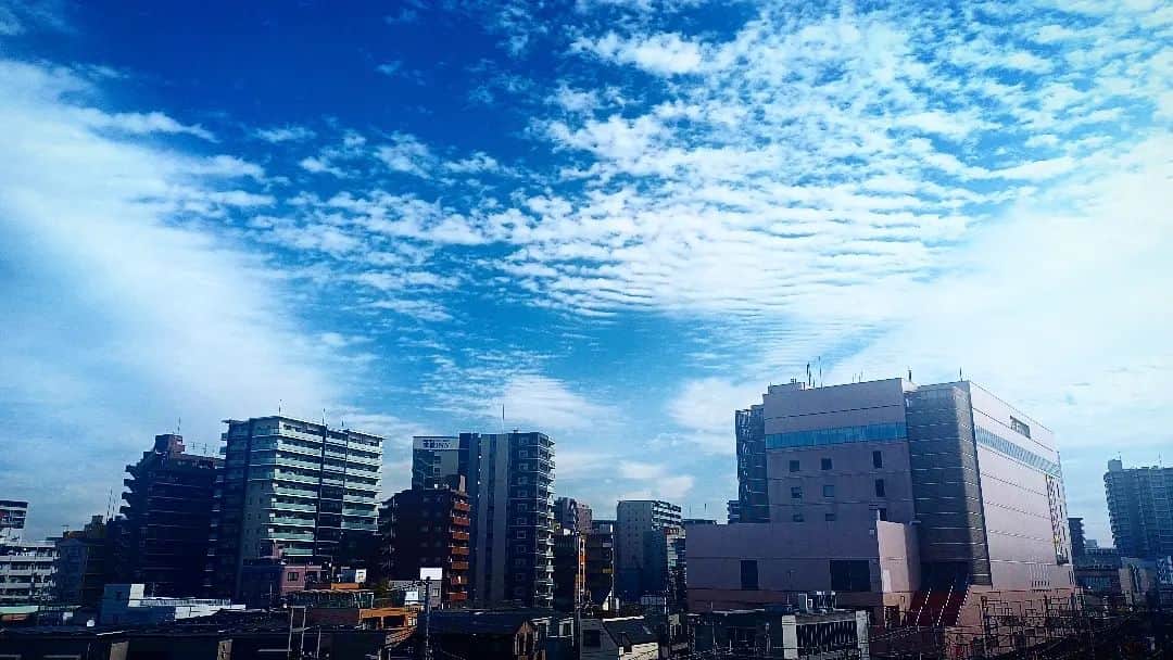 松本隆博のインスタグラム：「。 都会の空を見上げる、今日も幸せで 楽しい1日でした…都会、と言っても埼玉 ですが‪(´•ᴗ• ก )‬՞ ՞。 明日は群馬県に参ります、日々こうやって 自分を必要としてくれる所があるって 幸せな事だよねぇ、つくづく。 思います。 その分、期待に応えないと(ง •̀_•́)ง‼️ 資料も準備も万端、早く寝て明日の 戦いに挑みます。どりゃーーーー  還暦少年 松本隆博」