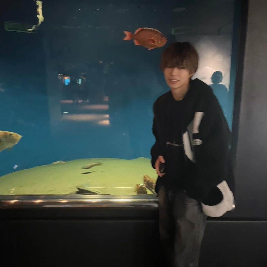 林奇跡さんのインスタグラム写真 - (林奇跡Instagram)「いっぱいどーぞ！🫠👑  水族館行ってきた！彼女目線ってやつ？？  #水族館  #水族館デート  #林奇跡 #エモい」11月23日 18時15分 - h__kiseki