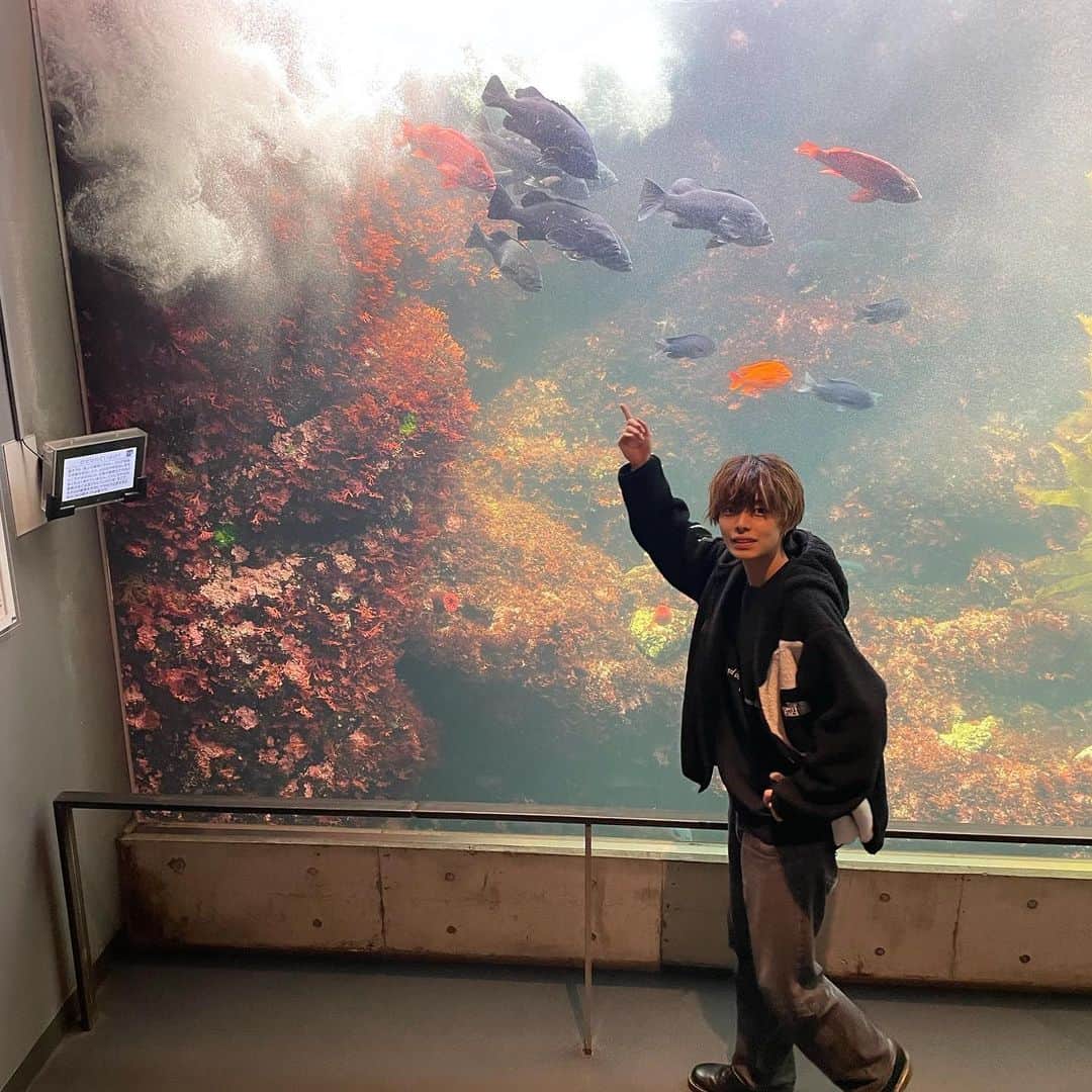 林奇跡さんのインスタグラム写真 - (林奇跡Instagram)「いっぱいどーぞ！🫠👑  水族館行ってきた！彼女目線ってやつ？？  #水族館  #水族館デート  #林奇跡 #エモい」11月23日 18時15分 - h__kiseki