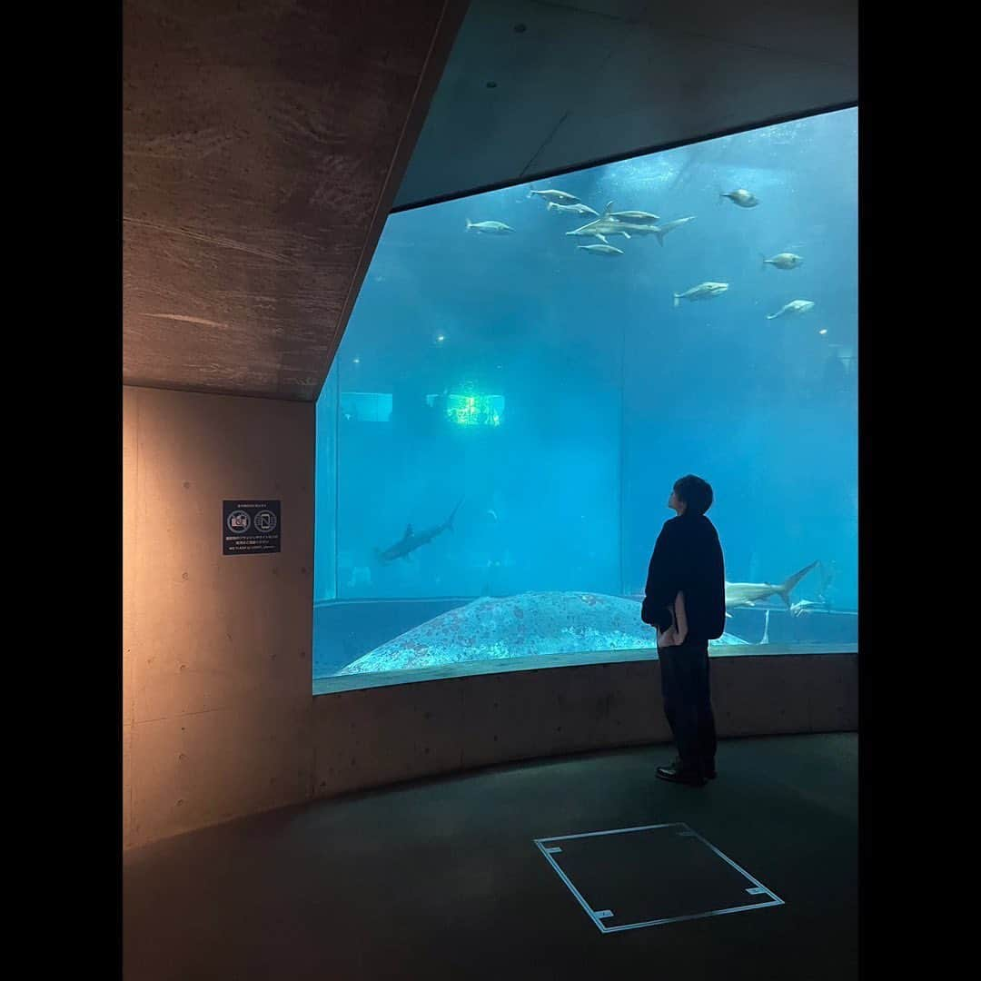 林奇跡のインスタグラム：「いっぱいどーぞ！🫠👑  水族館行ってきた！彼女目線ってやつ？？  #水族館  #水族館デート  #林奇跡 #エモい」