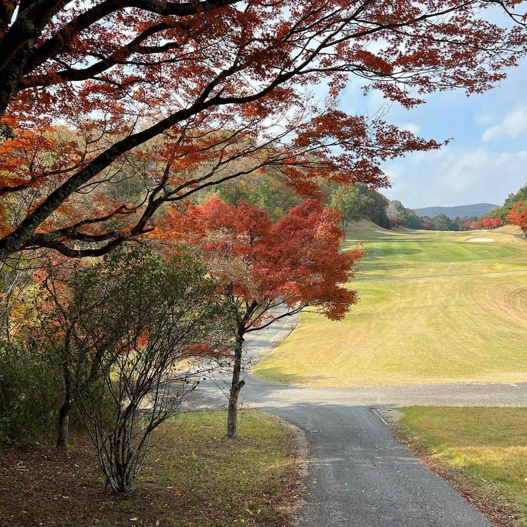 chiiika124さんのインスタグラム写真 - (chiiika124Instagram)「⛳️🍁 紅葉もみれたし レッスンの成果出たスコアで 満足満足🙌  #ゴルフ女子  #ゴルフウェア  #ゴルフ初心者  #韓国ゴルフウェア #ゴルフコーデ」11月23日 18時12分 - chiika26