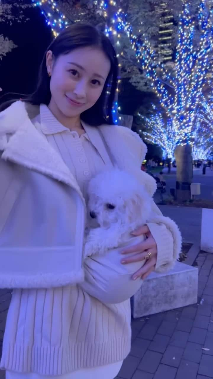 長沼南帆のインスタグラム：「やっと行けたパウちゃんとのイルミネーション🎄  気付けば2.5kgになっていて成長を感じます☺️」