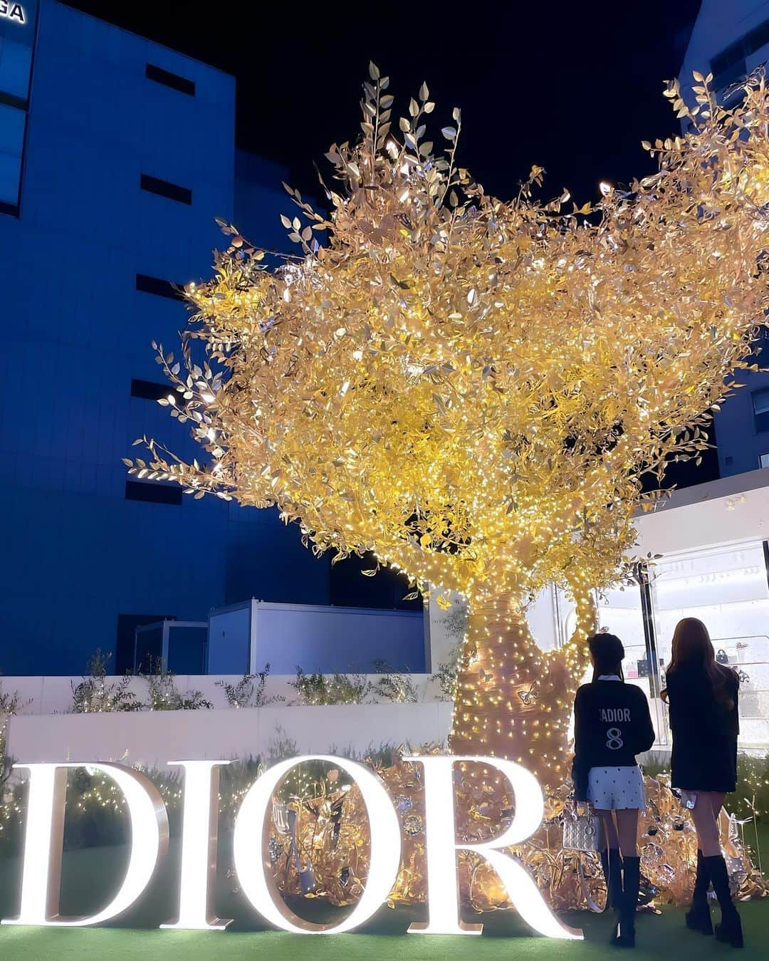 一條りおなさんのインスタグラム写真 - (一條りおなInstagram)「. DIOR HOLIDAY POP-UP🦋✨ . #dior #diorholiday  #diorholidaypopup  #holidaycollection  #ladydior  #ootd #ディオール #ディオールホリデー  #ディオールホリデーポップアップ」11月23日 18時37分 - riona.i