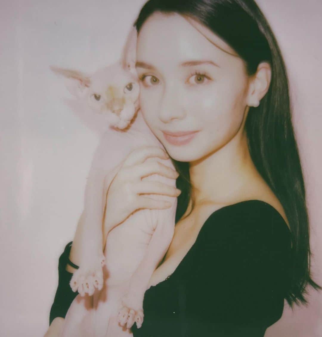 メーガン花子さんのインスタグラム写真 - (メーガン花子Instagram)「Proud cat lady💄」11月23日 9時54分 - megan.hanako