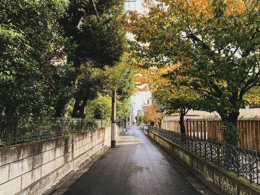 宇田川大輔のインスタグラム：「本日の朝ラン #running #朝ラン #城南エリア」