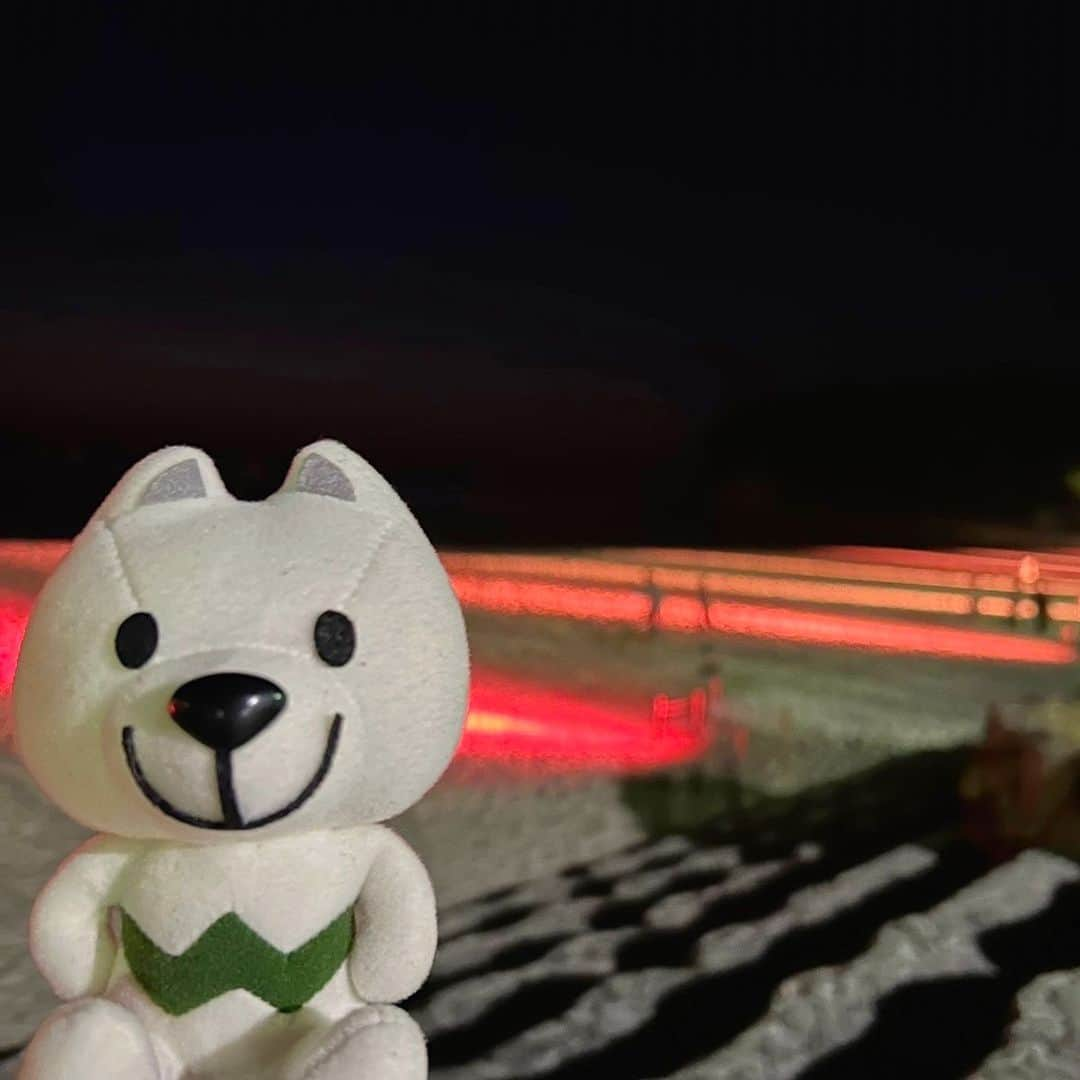 きいちゃんのインスタグラム：「. きいちゃん、白浜町にある白良浜のライトアップを見てきたよ🌊  白良浜deひらひらTシャツアート展も見てきたよ💗 素敵なTシャツが沢山あったよ👕✨  📸2023年11月4日📸  #和歌山 #和歌山県 #wakayama #白浜町 #shirahamatown #白良浜 #白良浜deひらひらTシャツアート #白良浜シーサイドイルミネーション #きいちゃん」