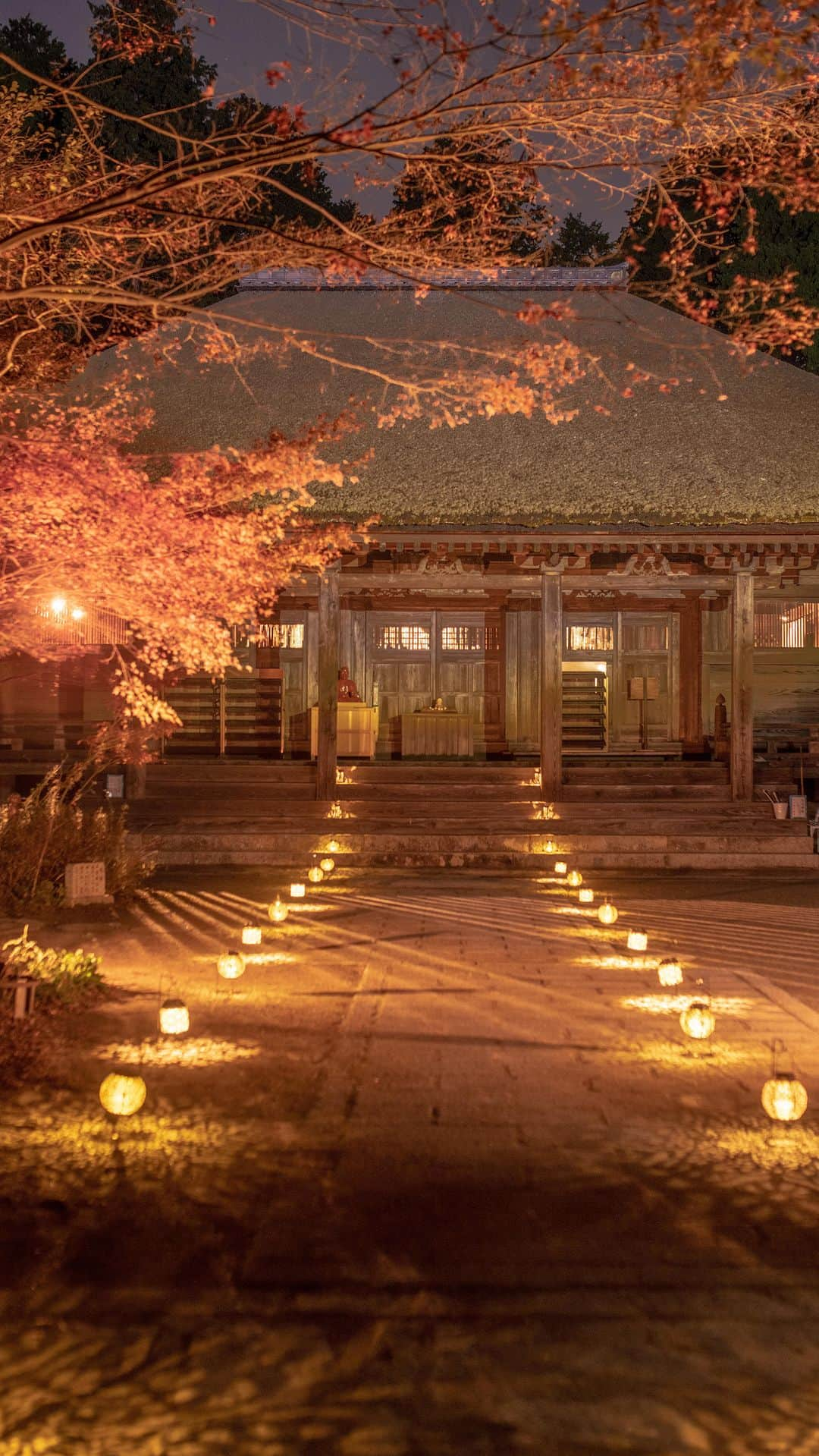 あや ◡̈*❤︎ayaのインスタグラム：「. 滋賀県湖南市の長壽寺（ちょうじゅじ）で  🍁✨紅葉の時期初となる 夜間ライトアップを 期間限定2日間 実施  開催日: 2023年11月25日(土)、26日（日） 時間: 17時30分から19時30分（予定）  ┈┈┈┈┈┈┈┈┈ 📍湖南三山国宝 長壽寺（ちょうじゅじ） @chojyuji_official  滋賀県湖南市東寺5丁目1-11  ┈┈┈┈┈┈┈┈┈  ※雨天中止。中止の場合は長壽寺公式ＨＰやインスタグラム等でお知らせをご覧ください ※三脚・一脚の使用はご遠慮いただいております、ご理解とご協力をお願い致します  🍁🚕「湖南三山紅葉めぐり」開催期間中  長壽寺、常楽寺、善水寺をめぐるMKトラベルより便利なツアーもありますよ @mktravel  #湖南三山 #長寿寺 #ライトアップ #プロモーション撮影 #滋賀県紅葉 #紅葉スポット #生きる杉の木プロジェクト #クラウドファンディング」