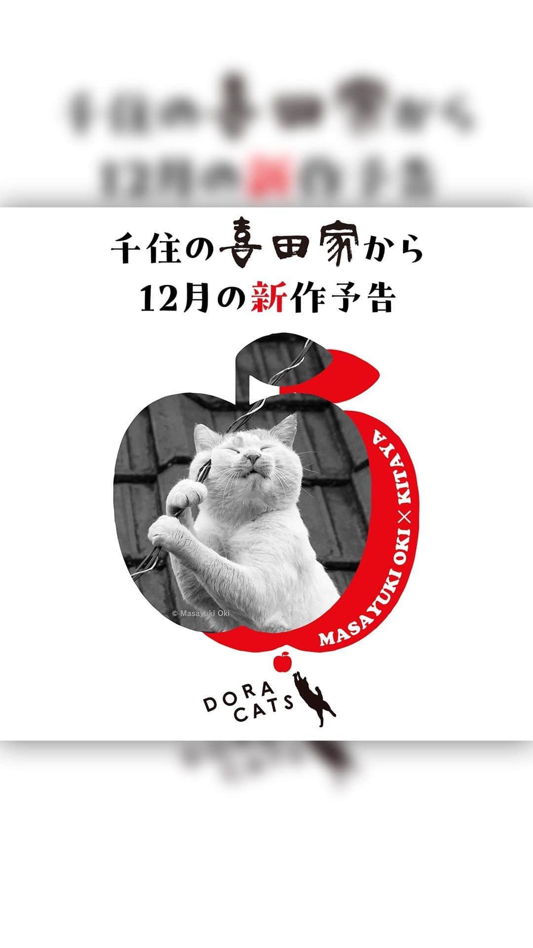 Masayukiのインスタグラム：「㊗ 東京の和菓子屋さん 喜田家とコラボ ㊗  この度、創業1955年  地元で愛され続けてきた東京下町の和菓子屋さん 喜田家とコラボします。 まだ秘密ですが、特典満載でスぺシャル企画を予定しております。 喜田家さん(@kitaya_rokuninshu )のアカウントもフォローして 引き続き楽しみにしていてくださいね。  #cat #ねこ #猫 #喜田家 #六人衆 #どら焼き #doracats」
