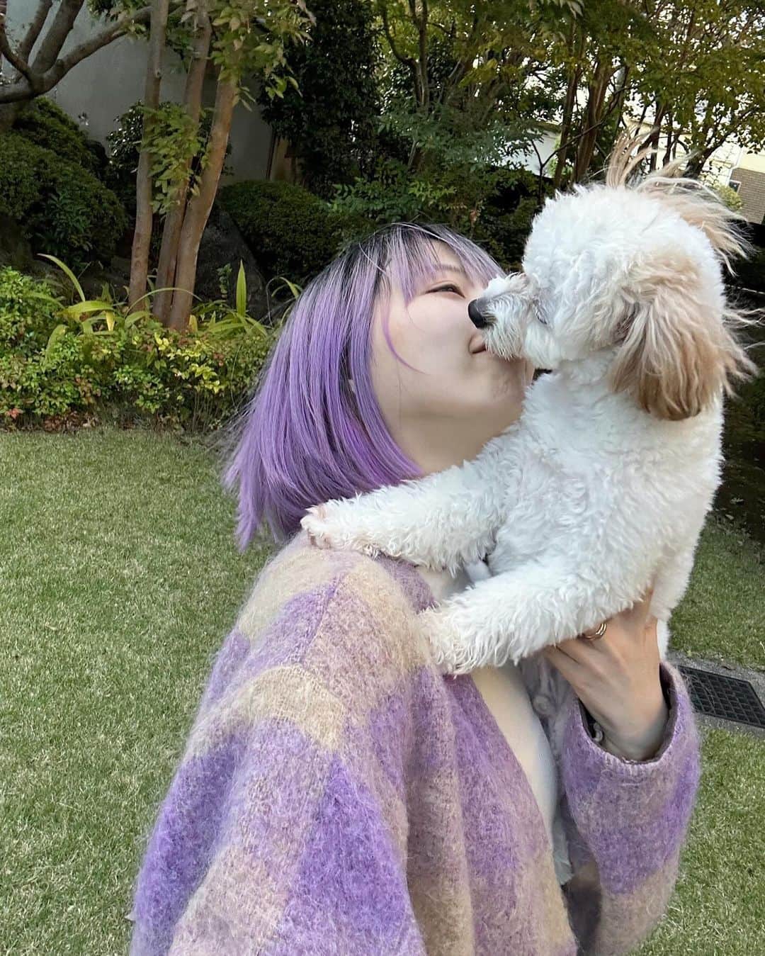 PORINのインスタグラム：「実家の3代目わん🐶 元気すぎてたいへん！ 触ってくれたひとみんなに福が訪れますように、という想いで福と名付けました。縁起良い！」