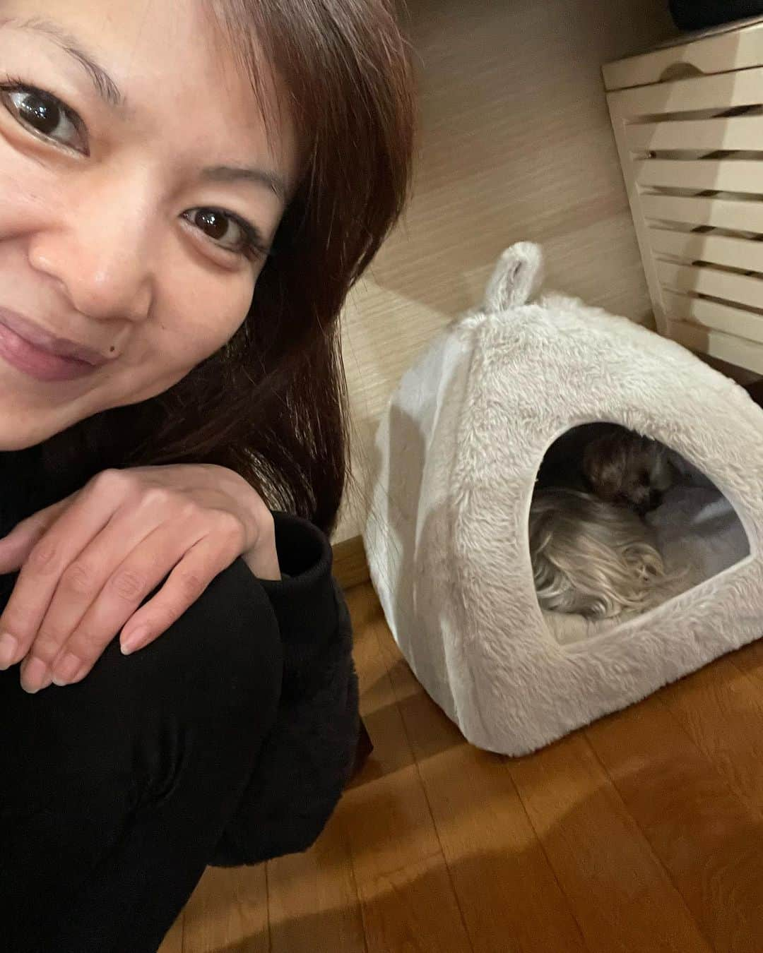 飯島直子さんのインスタグラム写真 - (飯島直子Instagram)「こんにちは^ - ^♪  こちらは暖かい朝です  来週末から寒くなるとウワサで聞きましたが  庭の紫陽花が咲きびっくり  昨日はメッセージで蝉が鳴いていたと  虫も植物も驚きの気候ですね  そりゃ人間も大変です  体調崩さないよう気をつけようね^_^  昨夜の白樺は30センチくらいの小さいものです  二年前に買って仕舞うのが面倒で置き去りです^ ^  21.22日のへんじすこしです＾＾  さゆり49才誕生日おめでとう♪体調はどうかな^ - ^？変化ある年頃、カラダに気をつけ頑張っていこうね！健康でステキな一年になりますように♪  raka50才誕生日おめでとう♪誕生日にデビュー50周年のコンサートへ♪感慨深いね(´∀｀*)歴史を感じる、良い記念になったね♪健康に気をつけステキな一年になりますように♪  s.h_blossom57才誕生日おめでとう♪ 体調は大丈夫かな^ - ^ステキな60才目指してがんばろうね٩(๑❛ᴗ❛๑)۶健康に気をつけ良い一年になりますように♪  aki.52才誕生日おめでとう♪オカメインコのポーチかわいい♡今日は初の落語を聴き…気分低迷中を吹き飛ばしてきてね！健康に気をつけステキな一年になりますように♪  美由紀結婚30周年記念日おめでとう♪ 忍耐記念日^ - ^笑。長くいると色々あるよね 見送る覚悟で^_^夫婦健康で、そこそこに…いつまでも仲良くね♪  両親結婚記念日54回目♪おめでとう♪ 今日はお祝いするかな^ - ^健康に気をつけ長生きしてね♪純子！  今日は愛犬マロンの8才誕生日^ - ^ほどほどに仕事して夜はお祝いだ♪おめでとう♪  micco〜♪いつもありがとう！  ひでみ！今日は通販で買った靴オープンしよう♪  あいうえお♡  ホールインワンtoshi！昨日は準優勝！おめでとう♪ 寒暖差激しいから体調気をつけてね！  令子！お父さん葛餅喜んでるね…(*´-`) ありがとう令子って言ってるよ  桜♪  事務仕事やっつけた！おつかれ！ひろたん( ´ ▽ ` )♪  サツマイモの天ぷらすき^ - ^サツマイモ料理… 大学イモ、サツマイモごはん、味噌汁もおいしいよね^_^メッセージでサツマイモの肉じゃがが美味しいと教えてもらったので今度チャレンジするよ♪ すず！いつもありがとう♪  牡蠣！すきすき^ - ^三者面談お疲れさま！ smile♪  パパとラーメン美味しかった？nana♡  好きな飲み物はコーヒー^ - ^ルイボスティーはカラダにいいよね^ - ^neruneacce！  ポメチワワのココちゃん♪更年期負けないでがんばろー٩(๑❛ᴗ❛๑)۶あい先生…メモメモ…yyyuuko！  鈴は昨日ずっとお母さんと一緒(´∀｀*) 今日はがんばってお留守番しててねヨシヨシ^ ^  まち♡  愛犬は腎臓サポートのカリカリごはんと老犬用の缶詰とジャーキーをちぎり混ぜてあげてるよ^_^  今日はおかずがないので卵かけごはん  冷凍ごはん  味噌汁(残)  きゅうり塩麹  シャケ瓶(経理小平産)  腹六分目です  木曜日、勤労感謝の日  働いてるひとを労う日なので、全国的に休みにしてもらいたいですね  今日は…今日はとくにほどほどに  仕事も家事もそこそこに  がんばり過ぎずがんばろう( ´ ▽ ` )ﾉ♡」11月23日 12時34分 - naoko_iijima_705_official