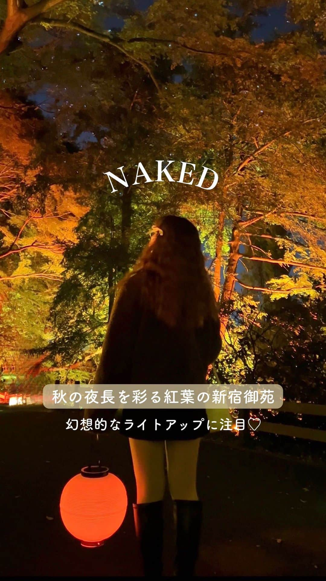 MERYのインスタグラム：「都心で紅葉を楽しめる #NAKED紅葉の新宿御苑 🍁  数少ない都心の紅葉スポットとして有名な新宿御苑が 幻想的なライトアップイベントを開催✨  様々な紅葉と共にキラキラと光るライトアップに ついついうっとりしちゃう...❤︎  園内には秋らしいフードや温かいドリンクもあるよ 🌰  この時期だけの風景を新宿御苑で味わってみては？🥰  チケット料金など詳しくは公式サイトをチェックしてみてね✅  🍁NAKED 紅葉の新宿御苑 2023 【住所】新宿御苑 東京都新宿区内藤町 11 【開催期間】11月22日（水）〜12月3日（日） 【開催時間】18:00〜22:00  #新宿御苑 #NAKED #紅葉 #都心の紅葉 #ライトアップ #期間限定イベント #紅葉スポット #紅葉デート #デートスポット #ライトアップ紅葉 #japantravel #japantrip #japanphoto #autumnvibes🍁 #イルミネーション #イルミネーション2023」