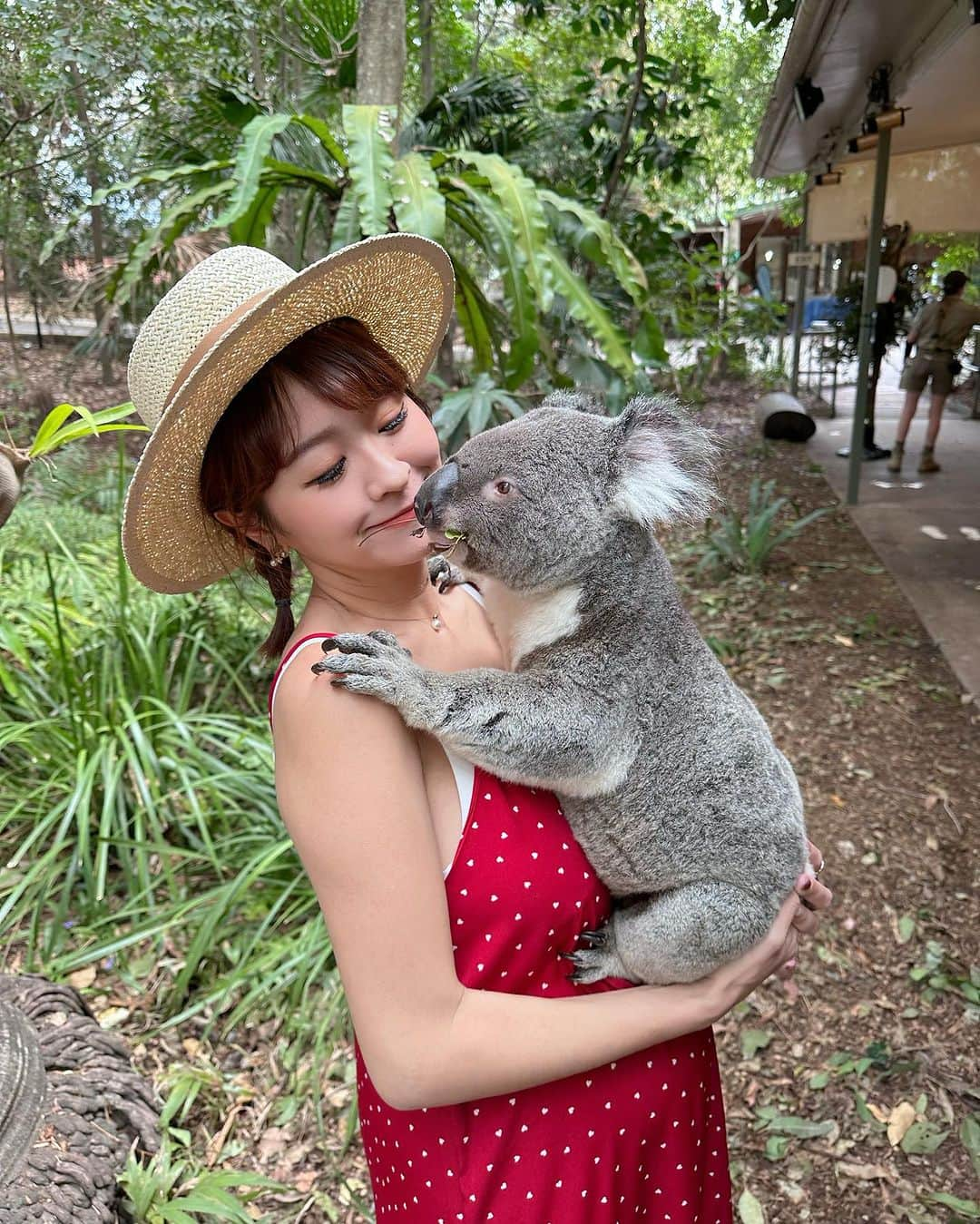 郭圈圈さんのインスタグラム写真 - (郭圈圈Instagram)「第二張跟我抱抱的無尾熊怎麼有點脫窗🤣？ - 第一次去澳洲～必須來找袋鼠🦘&無尾熊🐨拜碼頭吧😍從布里斯本市區過去計程車只要20分鐘，公車大約40-50分～ 無尾熊抱抱需現場另外預約唷！ 真的有夠可愛🥰 還有一整群的袋鼠🦘 可惜都沒有看到袋子裡有小寶寶袋鼠的 只要有買飼料就可能可以出現圖1荒謬的畫面🤣 被袋鼠們包圍🤎🤎  - 都沒有跟阿恩合照 因為出發前他惹到我哭了😂我還拍了一張照紀念（最後一張⋯嘴都歪了） - 🐨🦘話說動物園不大，但我們還是走走晃晃拍拍待了3個小時（我朋友原本是說待個2小時差不多）給大家參考～ . . . . #龍柏動物園 #lonepinekoalasanctuary #brisbane #brisbanelife #布里斯本 #布里斯本景點 #布里斯本美食 #布里斯本旅遊 #brisbanecity #圈圈去澳洲 #澳洲 #澳洲生活 #澳洲旅遊」11月23日 13時02分 - helloiamlea