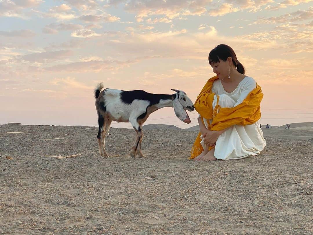 青山有紀さんのインスタグラム写真 - (青山有紀Instagram)「砂漠の夕陽を眺めながら熱々ミントティー なんて氣持ちいいんだ✨✨✨」11月23日 13時13分 - yukiaoya